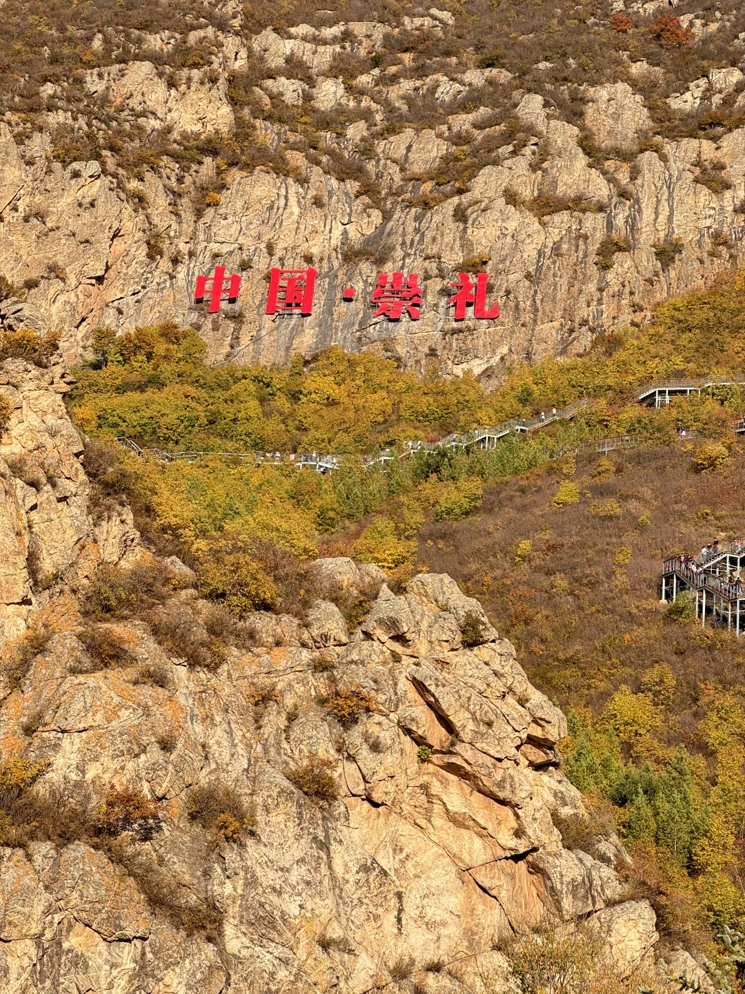 崇礼｜梧桐大道就是赏秋天花板吧