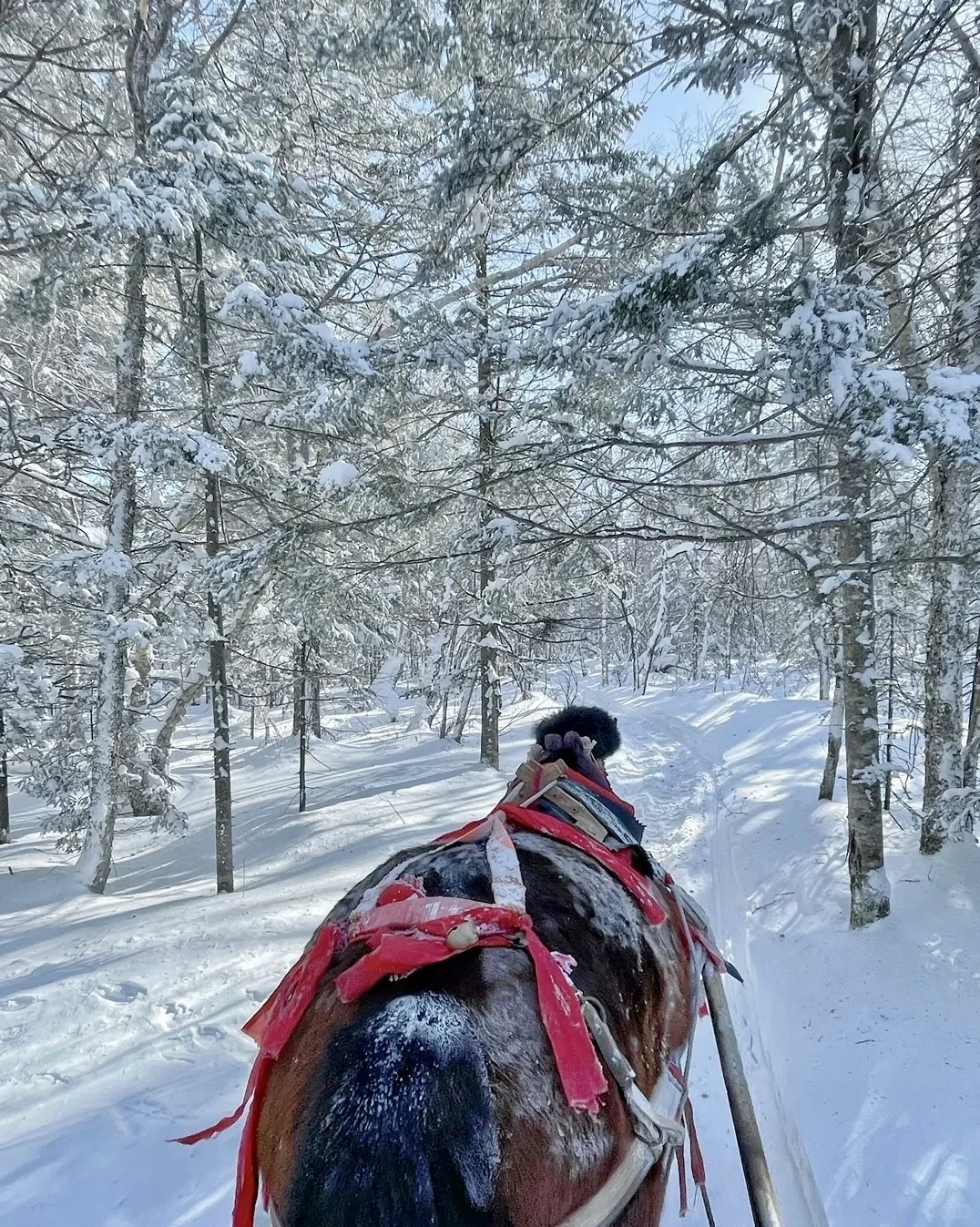 来长白山不踩雷 这么美的雪景怎么能拒绝