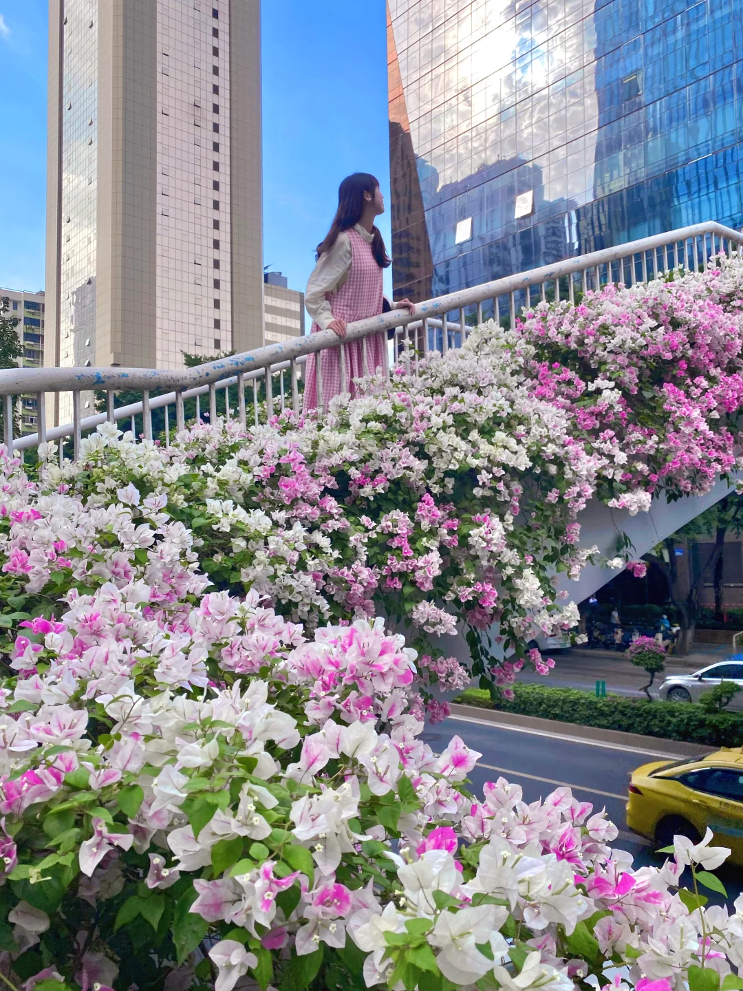 “后来我便逢人就说…秋天的广州有多美‼”