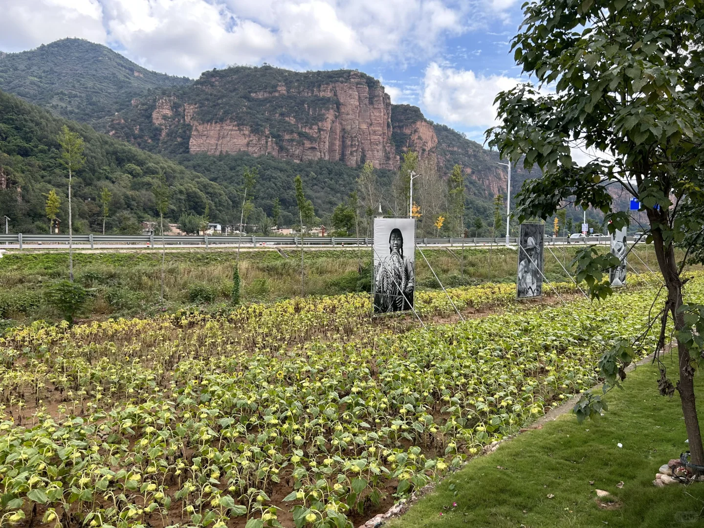 山李冀半日游