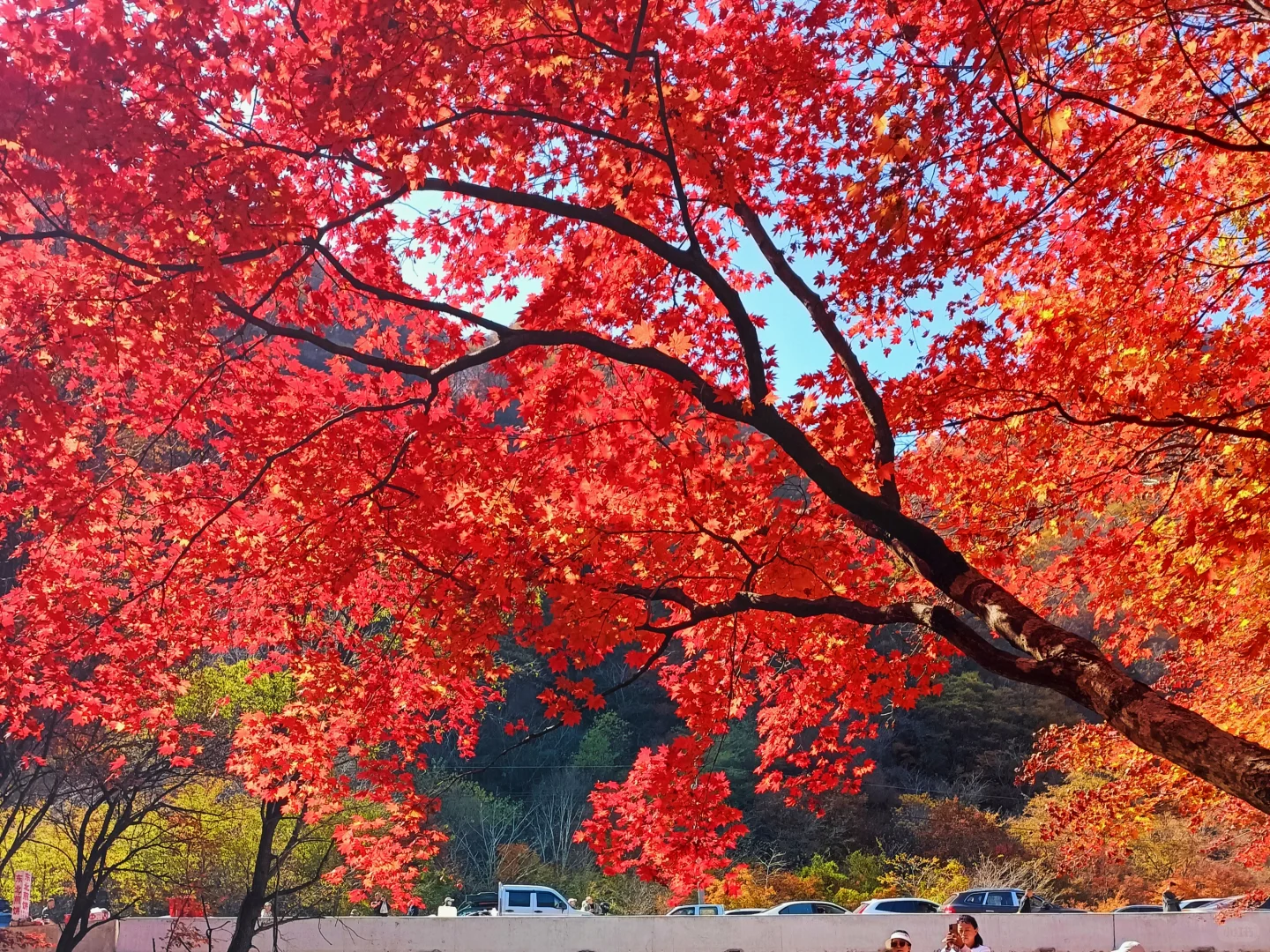 辽宁赏秋|本桓公路免费冷门拍照点详解