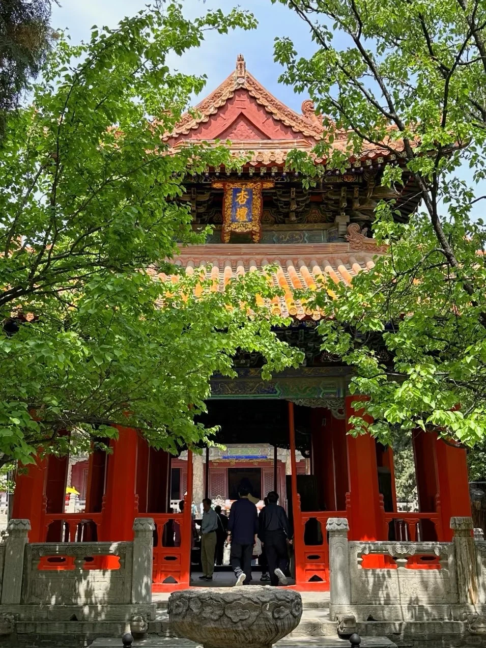国庆来曲阜一定要注意的事情⚠️