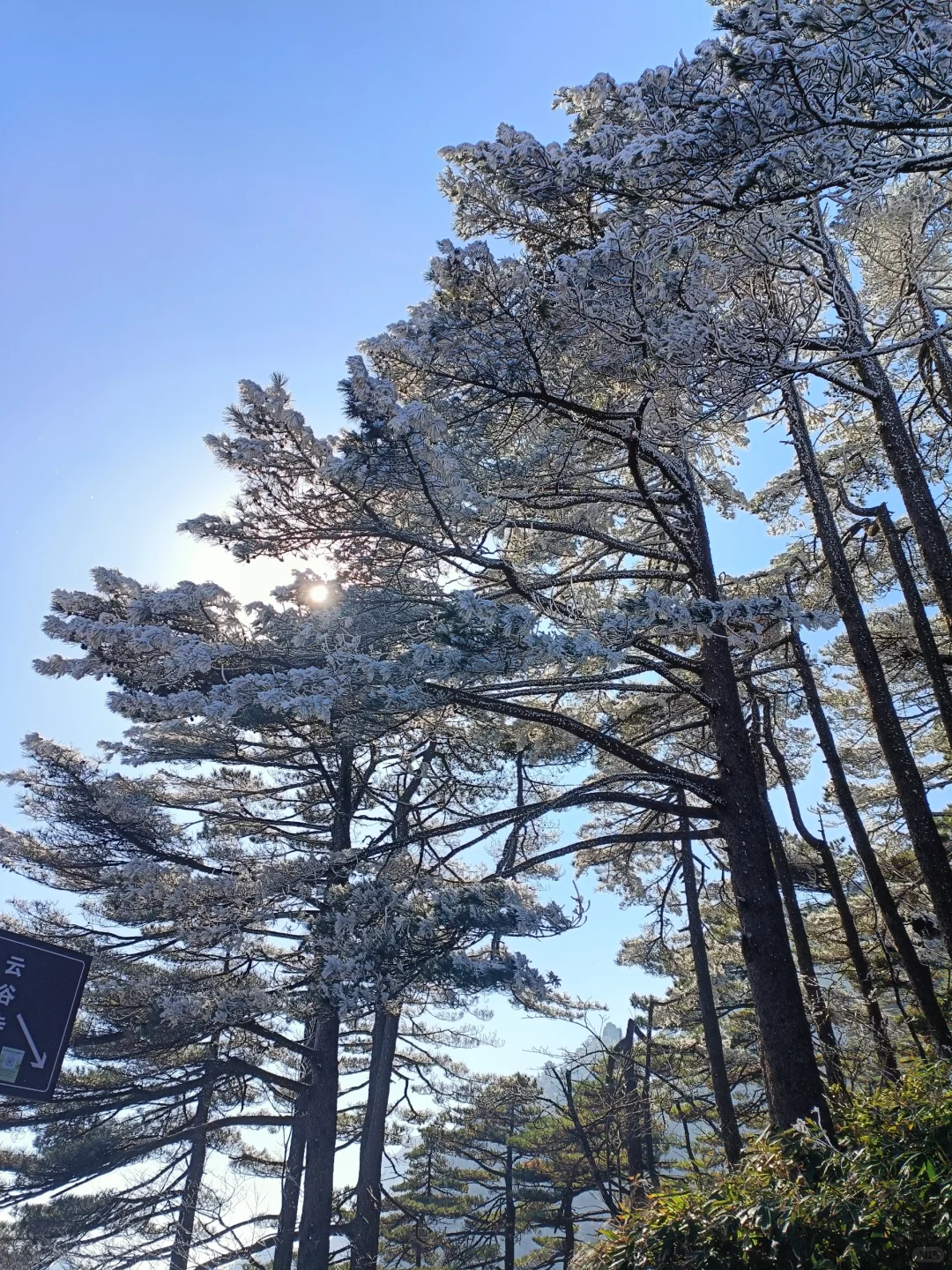 12.08大美黄山！
