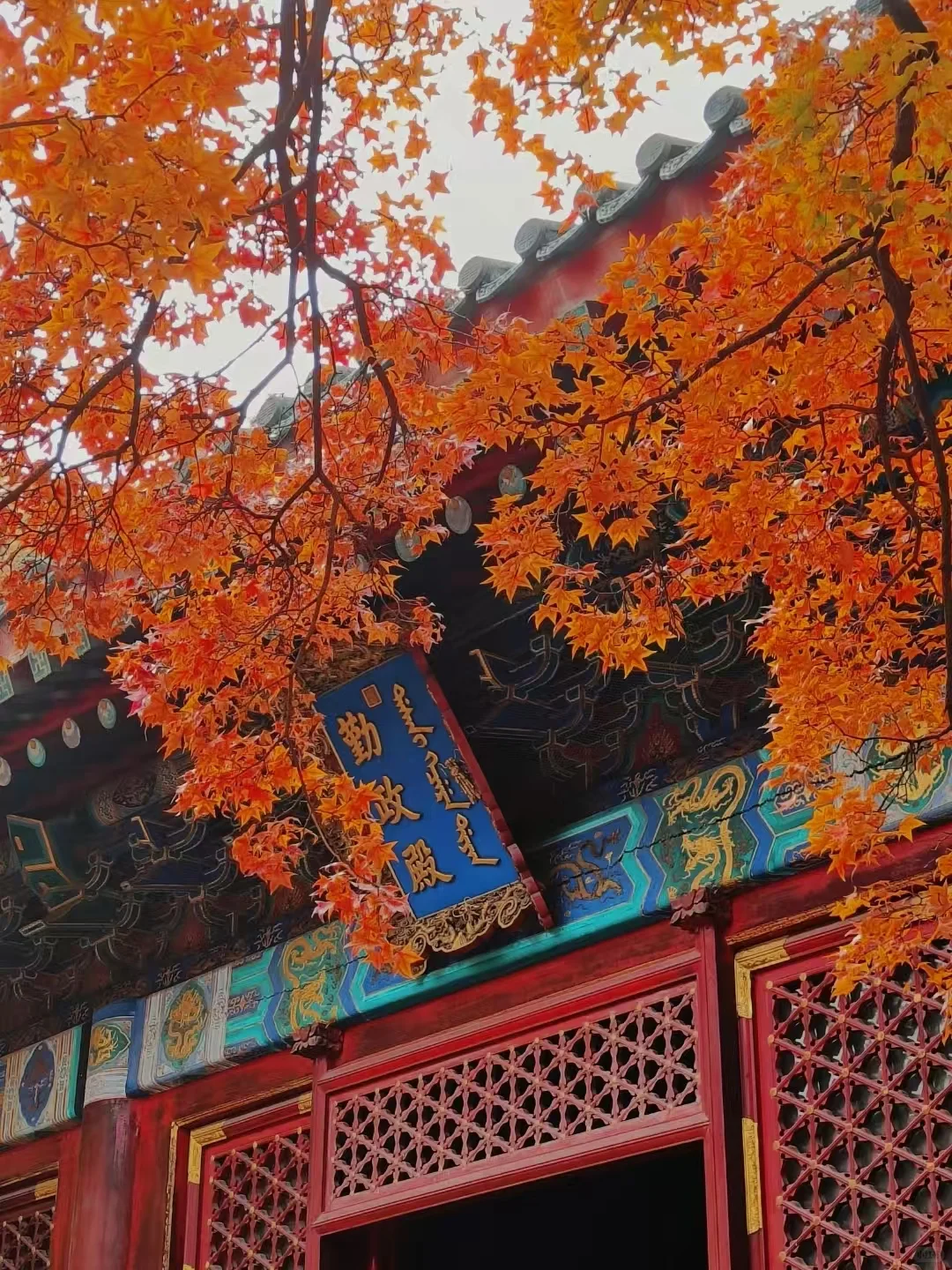 🍁北京秋日顶流！香山公园赏枫指南