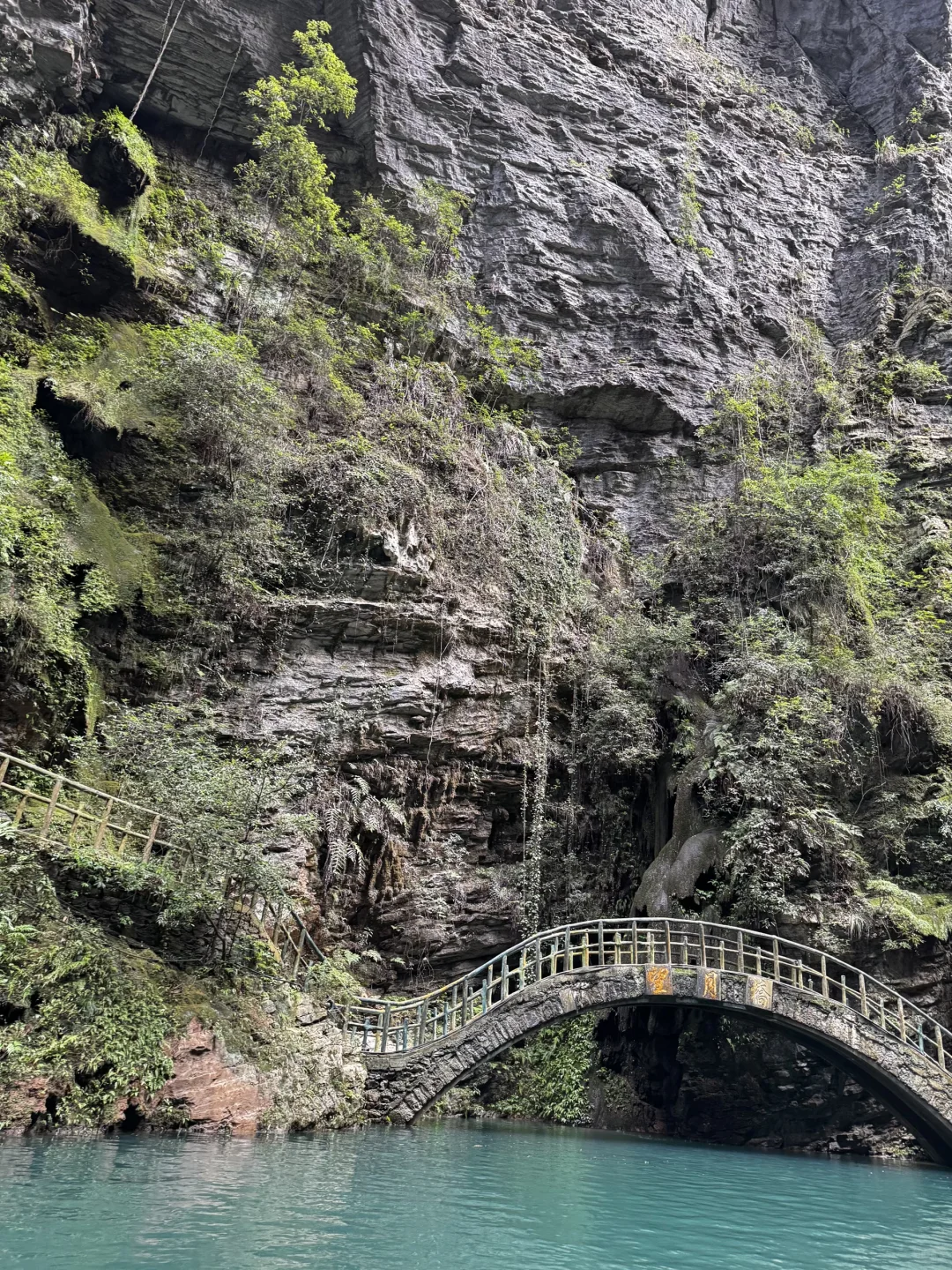 简直是人间仙境