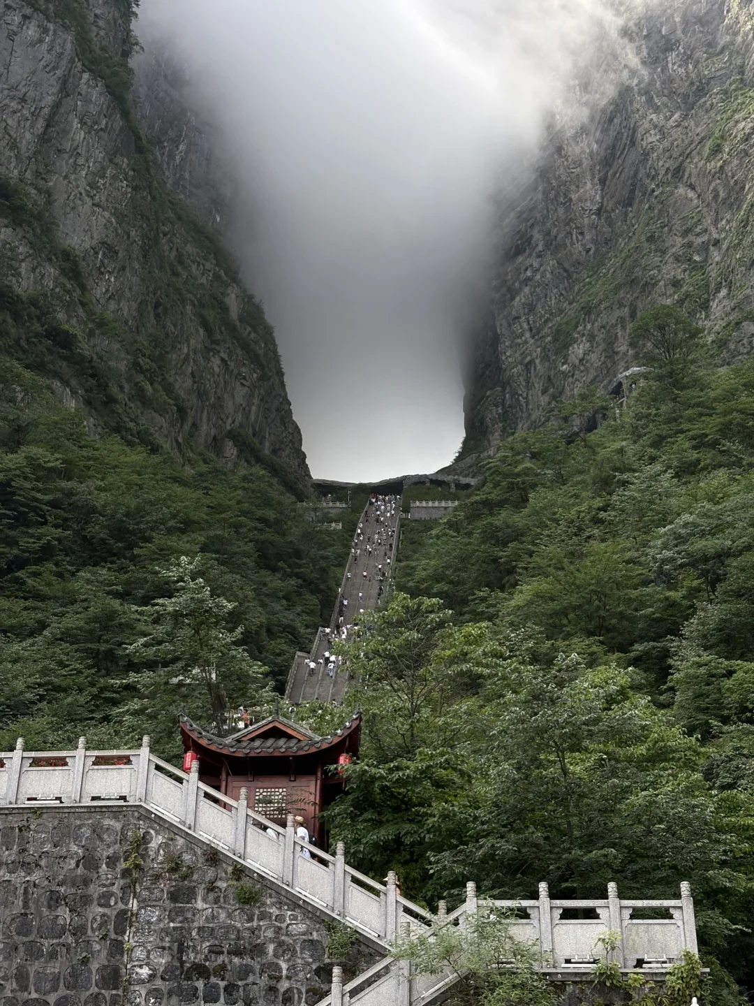 天门山➡️国家森林公园