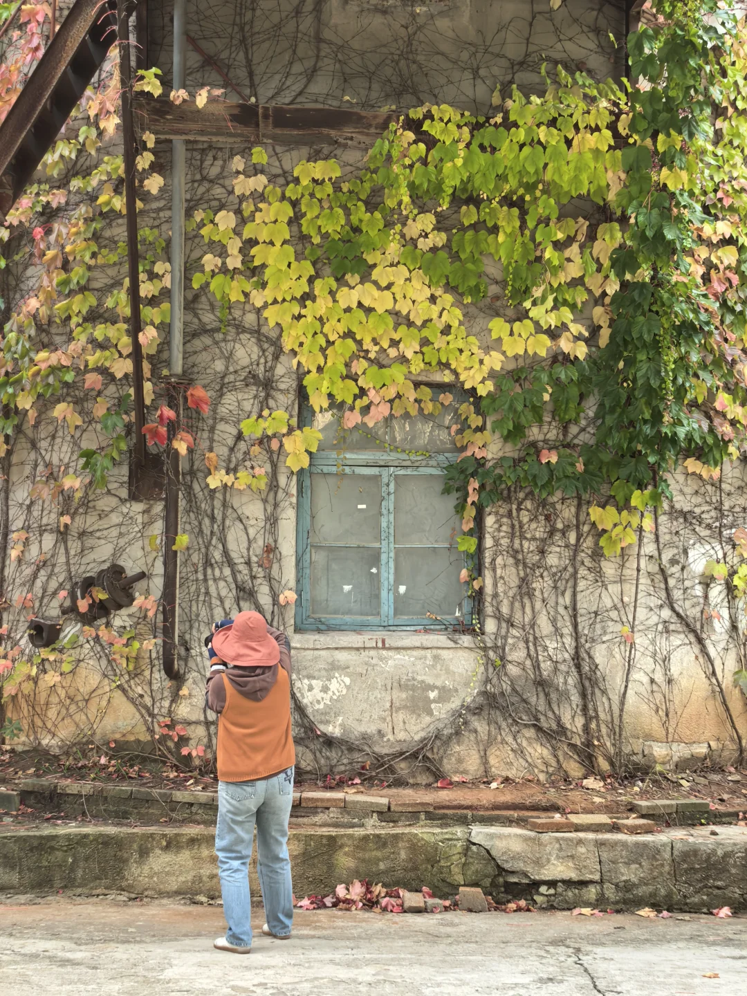 10.16日大连实况|秋天的大连🍁
