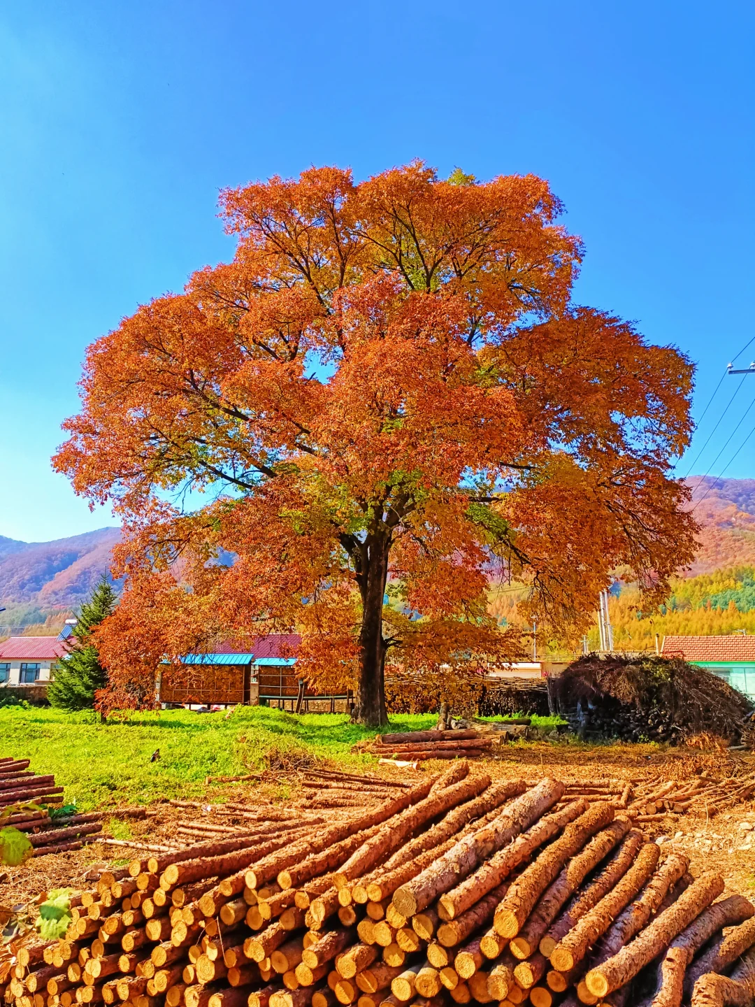 辽宁赏秋|本桓公路免费冷门拍照点详解