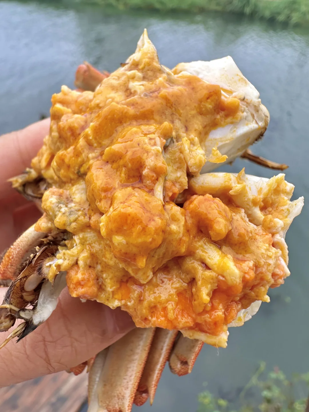 苏州本地人推荐！这个季节直奔阳澄湖！