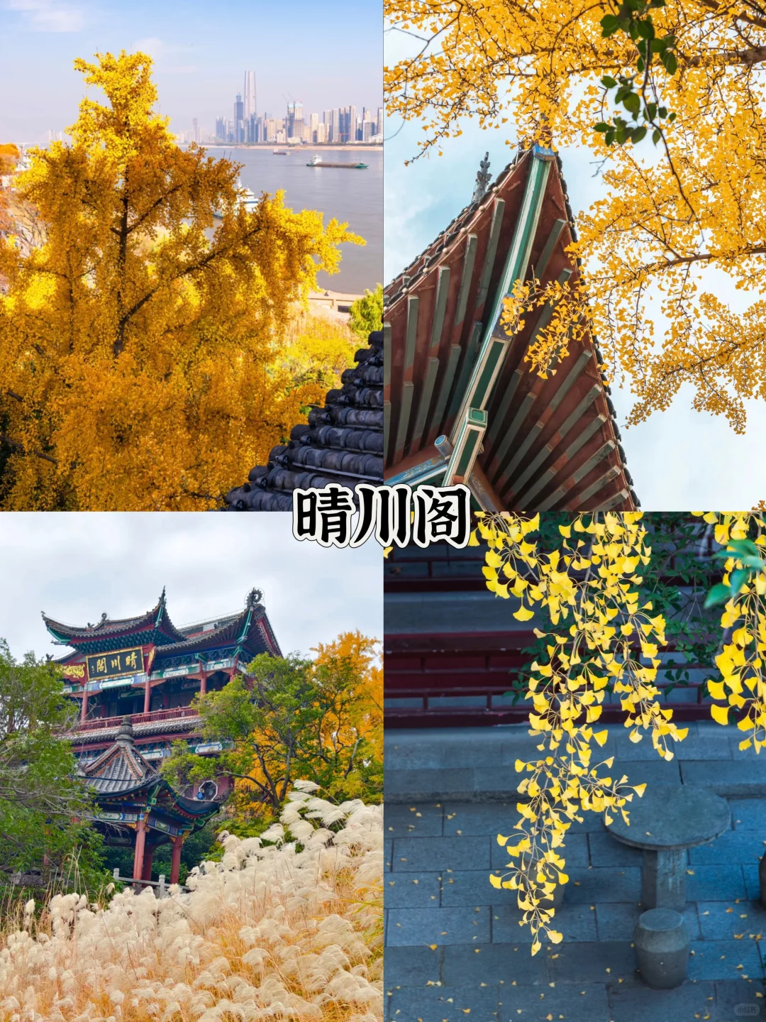 2025武汉赏秋8大打卡地！