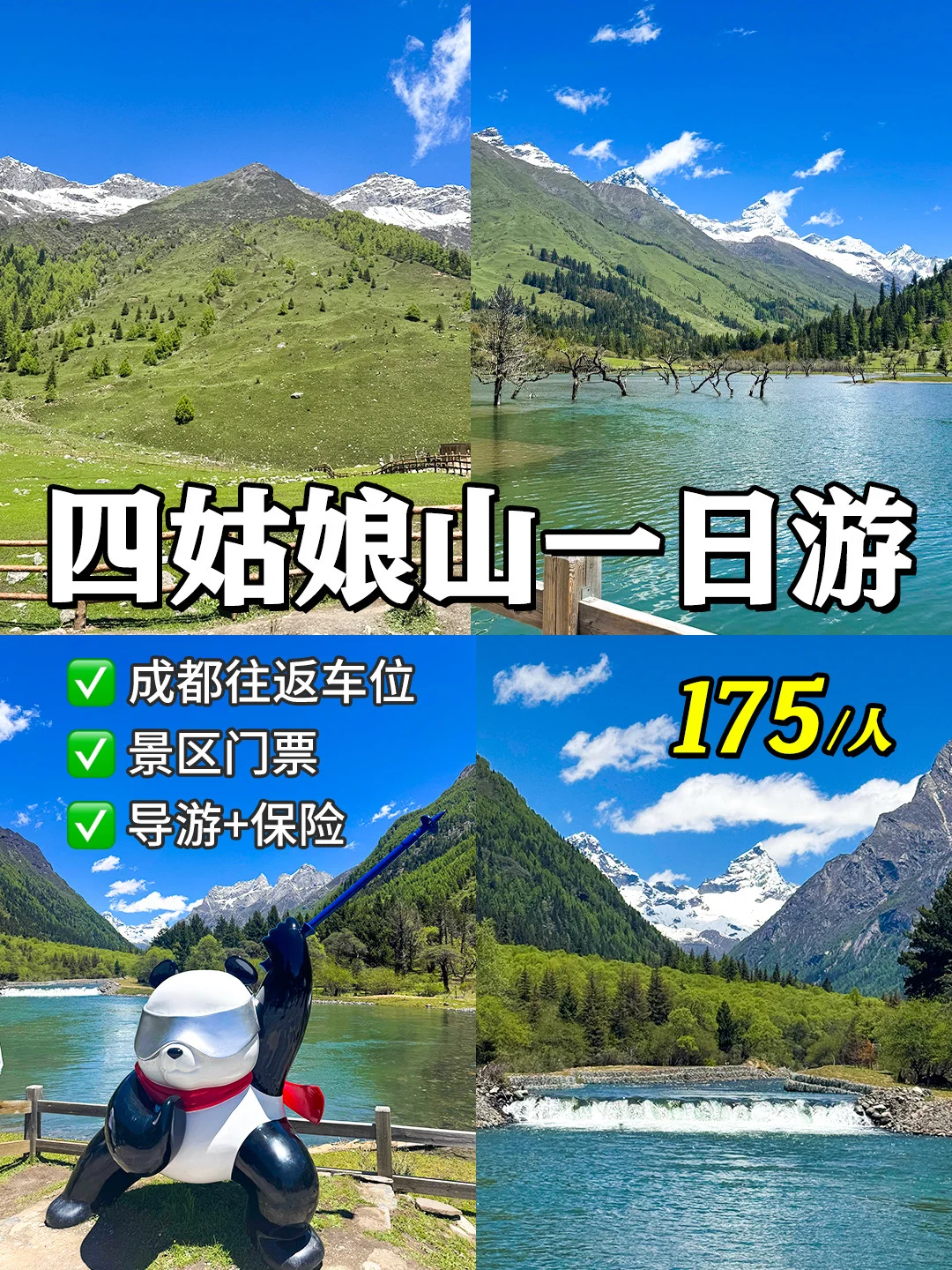 四姑娘山一日游攻略🔥175💰含门票+车费