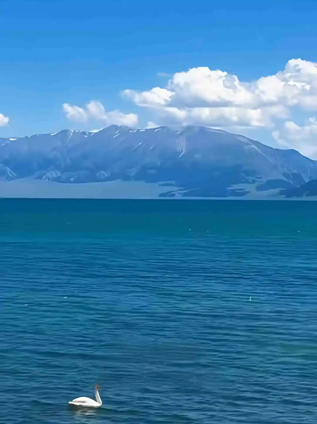 🏮 中国景区天花板