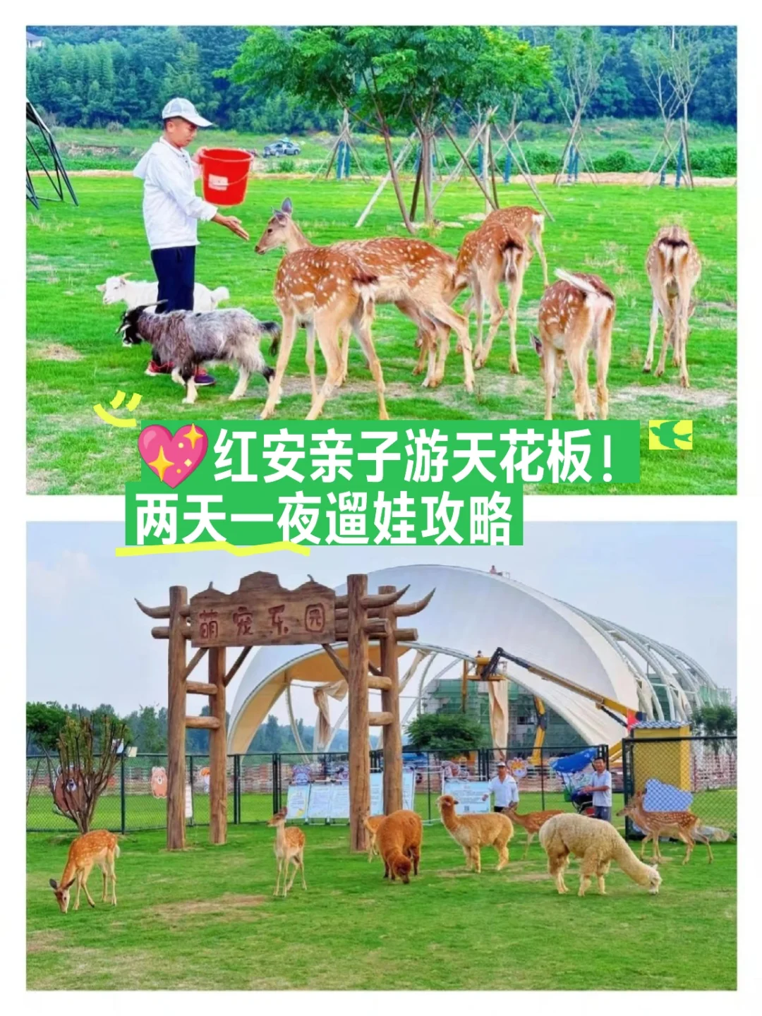 💖红安亲子游天花板！两天一夜遛娃攻略