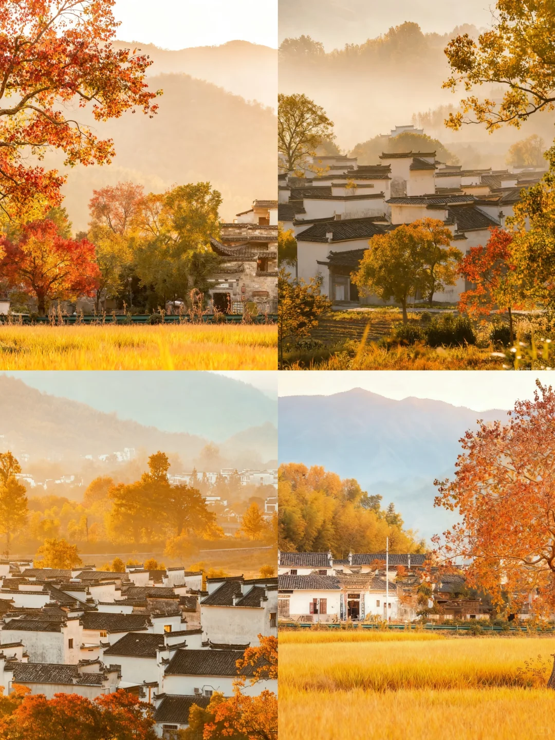 【皖南秋色天花板🍁】3天2晚保姆级攻略！