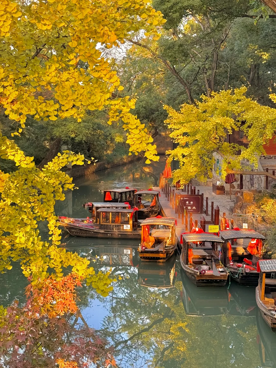 18张live图🍁告诉你苏州秋天有多美！！！！！！！