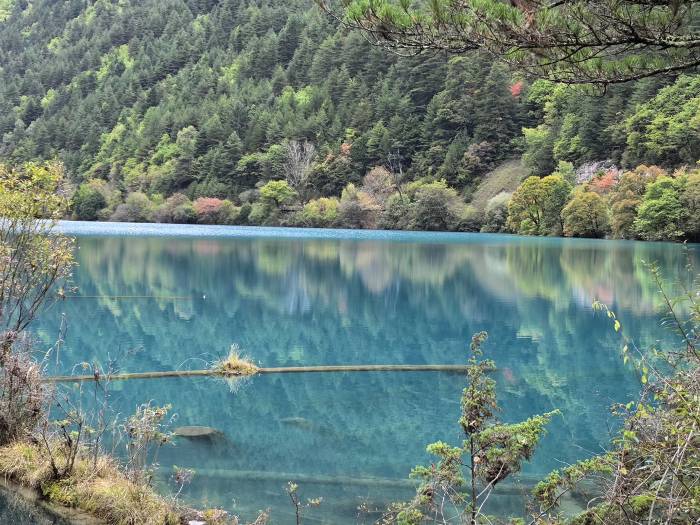 不用匆匆忙忙早起赶九寨沟！