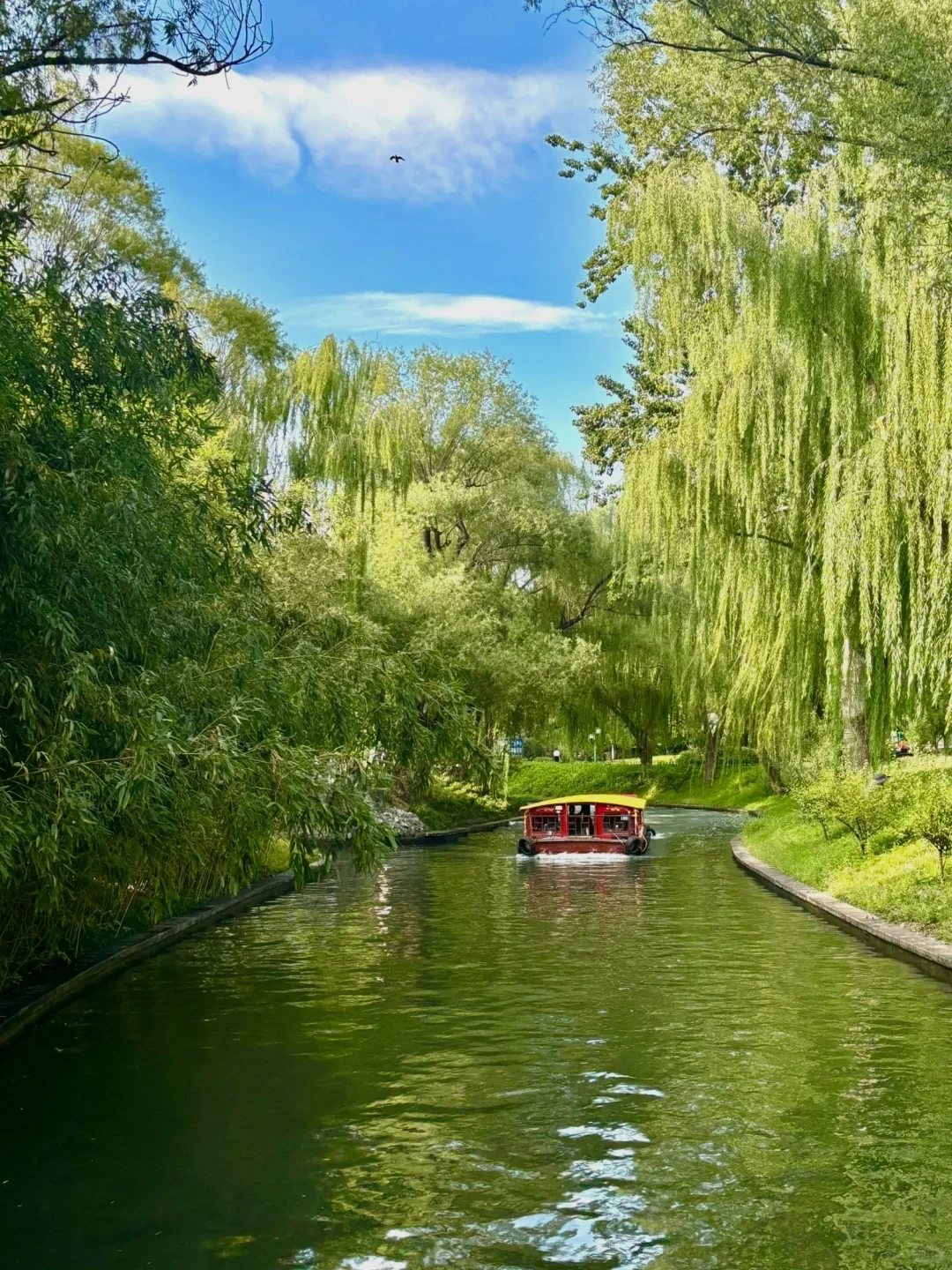 海淀最会玩的女大！必玩公园Top前三！