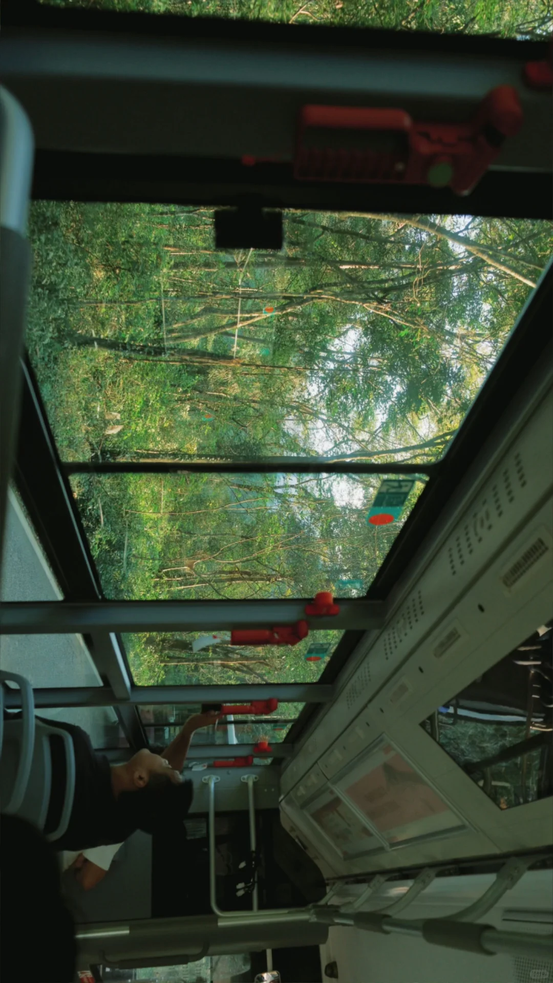 张家界攻略不求人篇！两天一夜