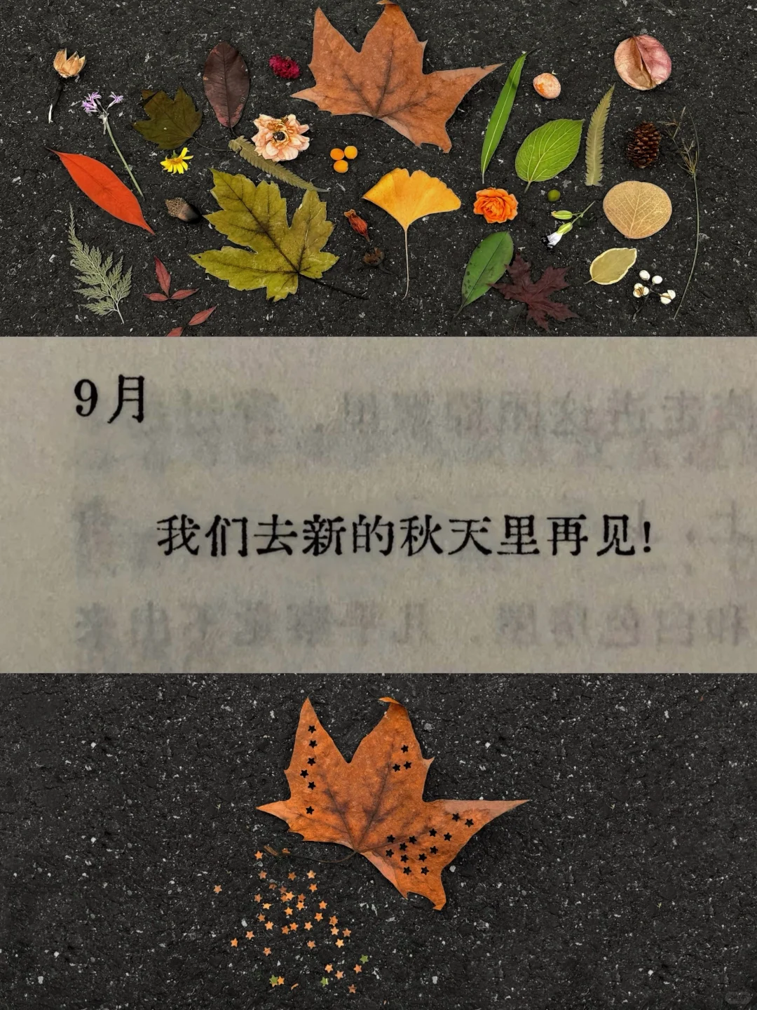 i人7:00起床杭州旅游🛶高能量的16h(12件事