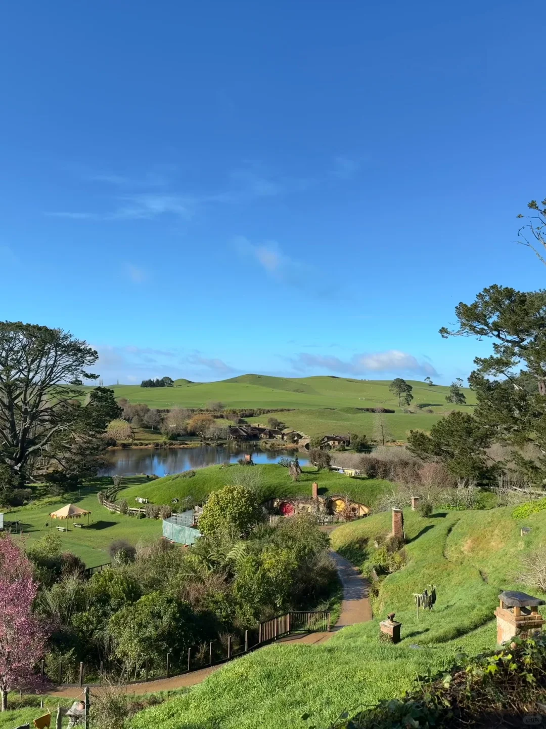 听xhs劝了，报了个新西兰半自由行团（无广