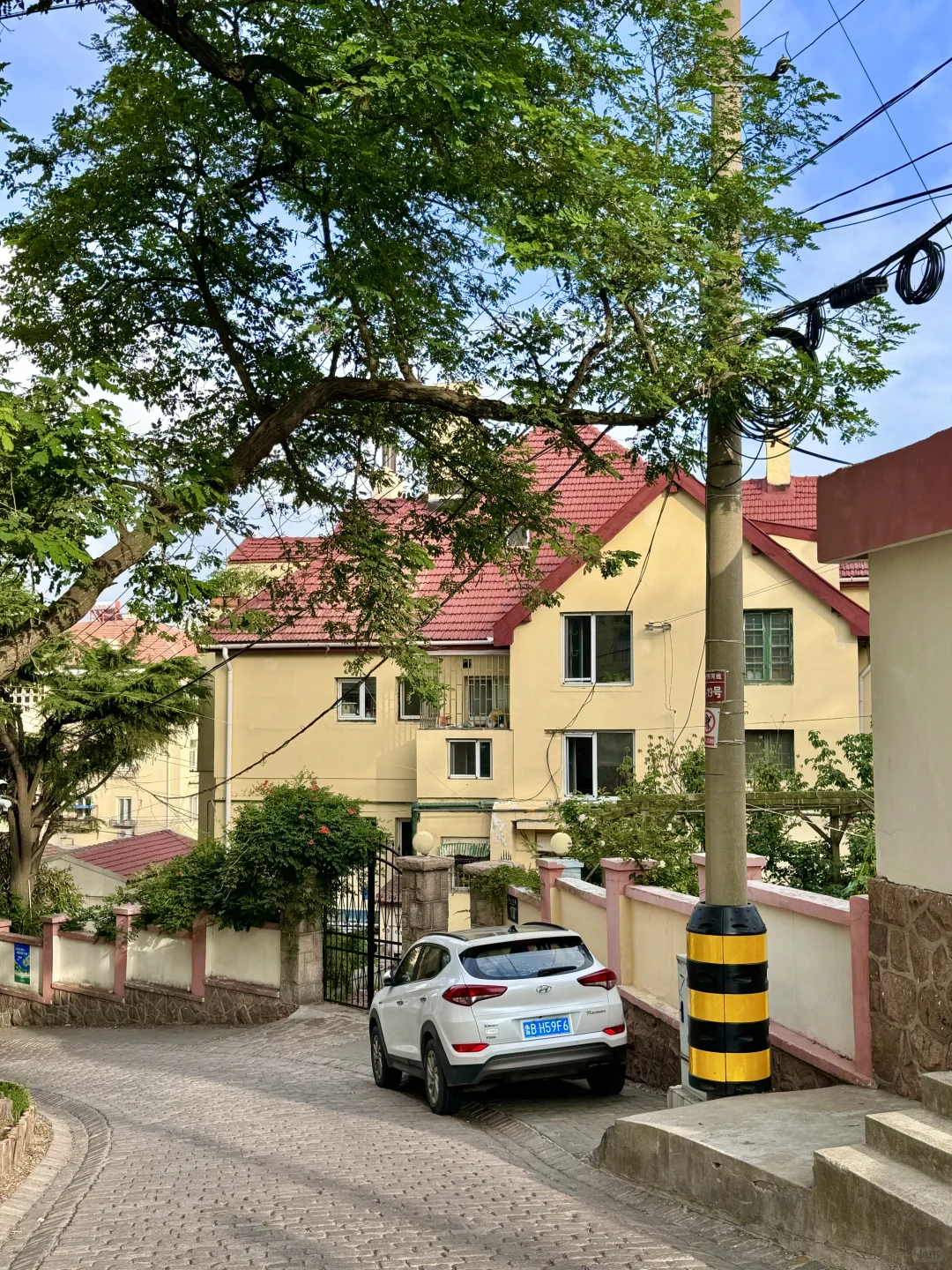 青岛真正好的地方都是免费的(合集)