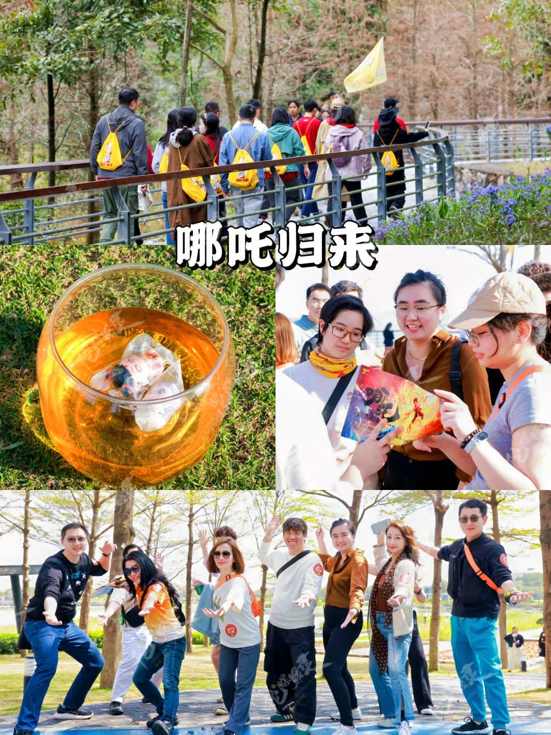 9-11月北京赏秋团建🍂大厂同款抄作业❗