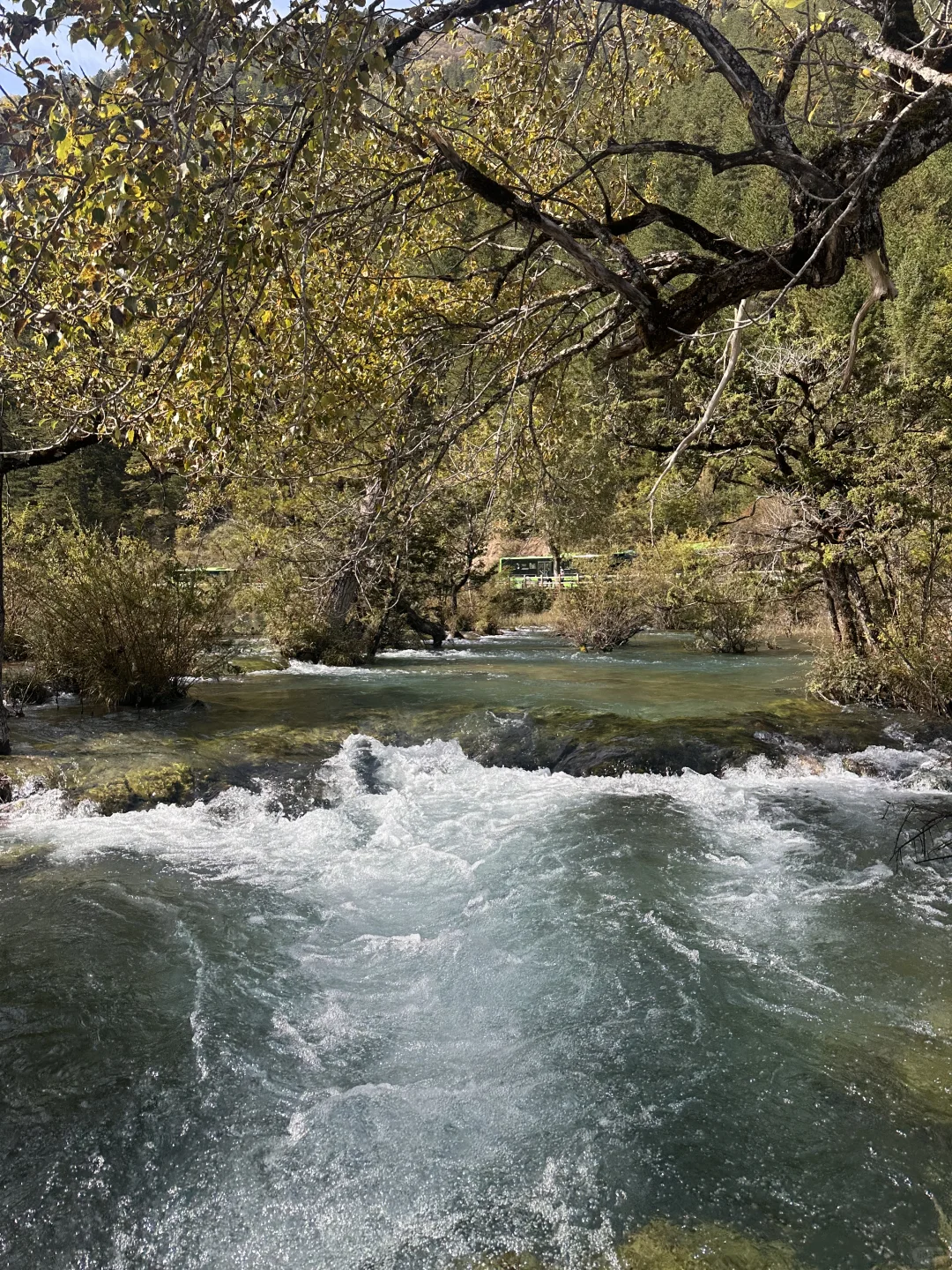 九寨沟避堵路线,把旺季当成淡季玩⛰️