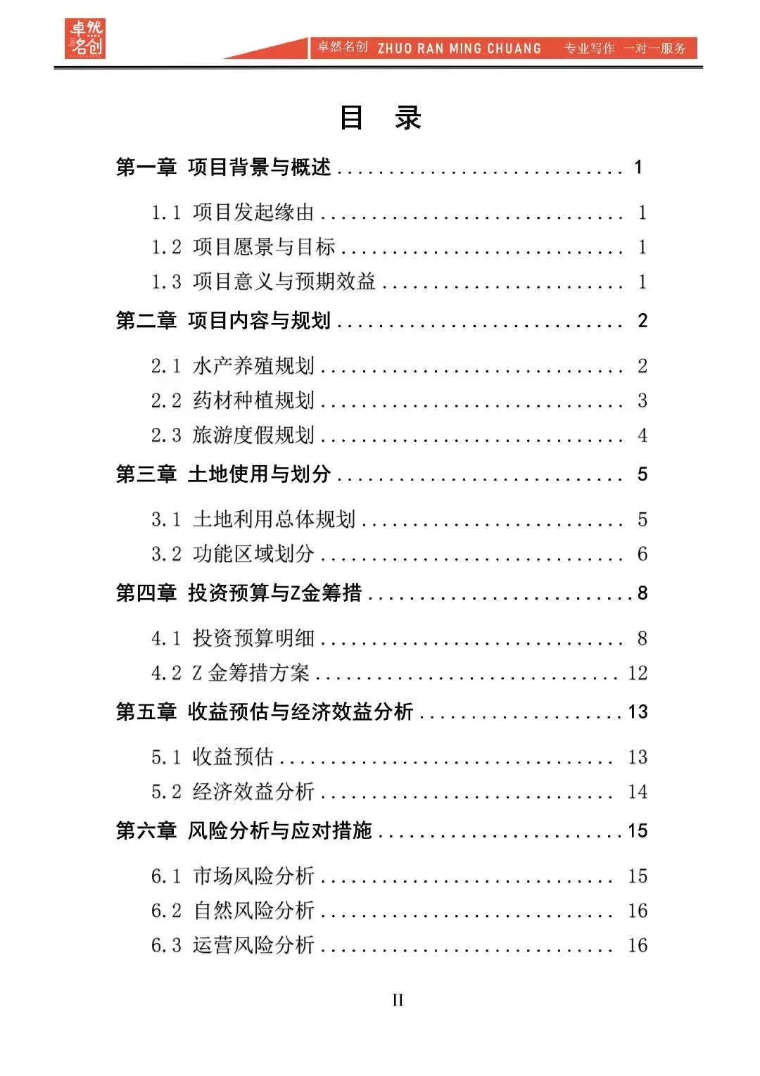 “农旅养”生态旅游开发项目计划书word