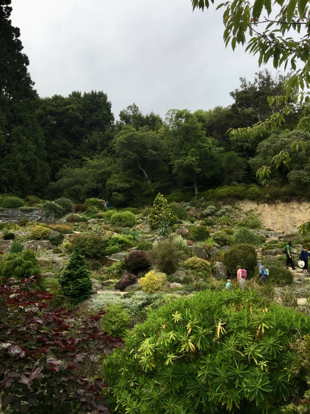 🇳🇿 新西兰达尼丁 Dunedin, New Zealand