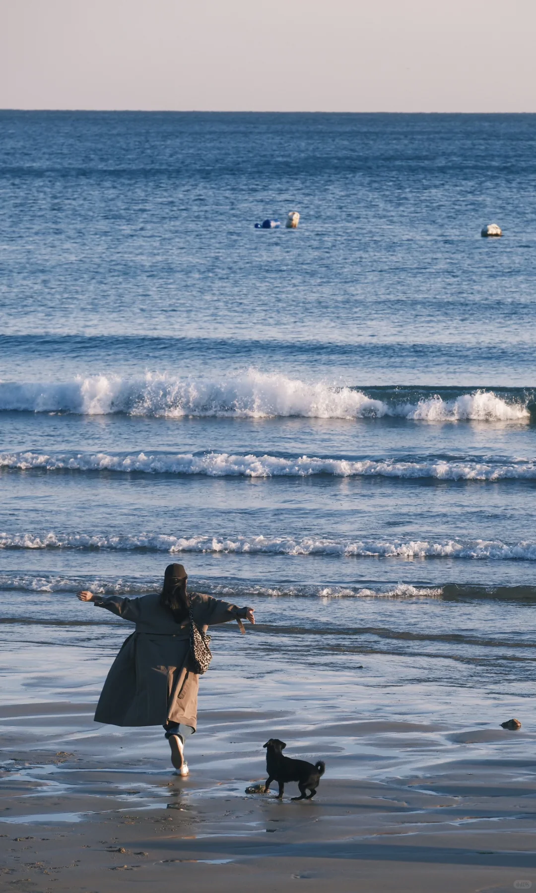接下来的大连🌊