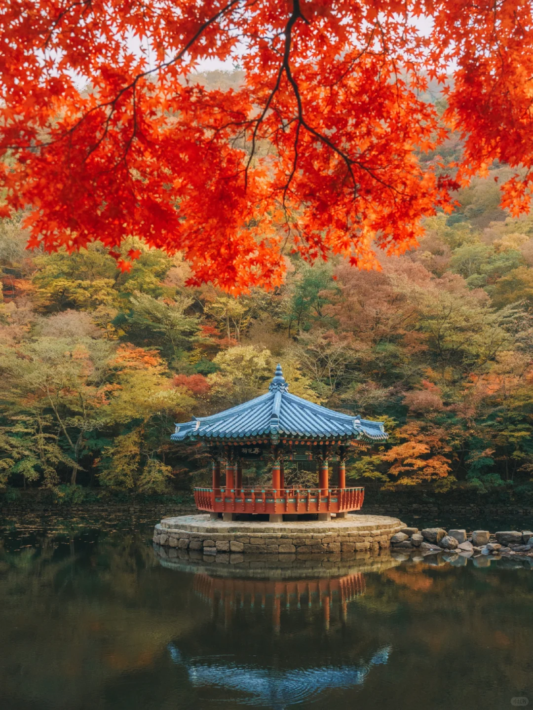 小红书跟风最成功的一次!!韩国旅游