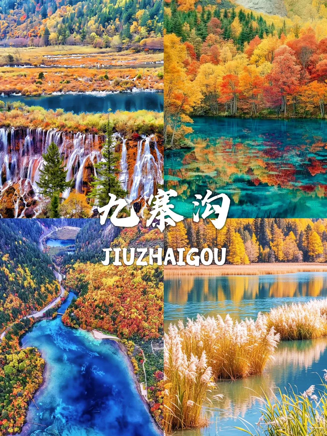 国内赏秋合集🍁这8个地方太值得推荐了