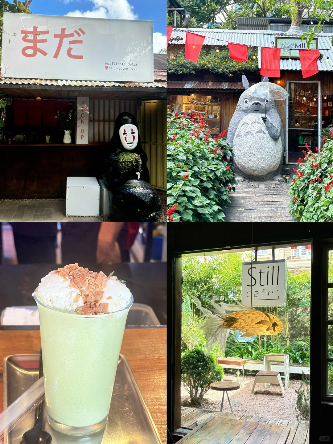 越南大叻｜3天3晚的保姆级吃喝玩乐🇻🇳合集