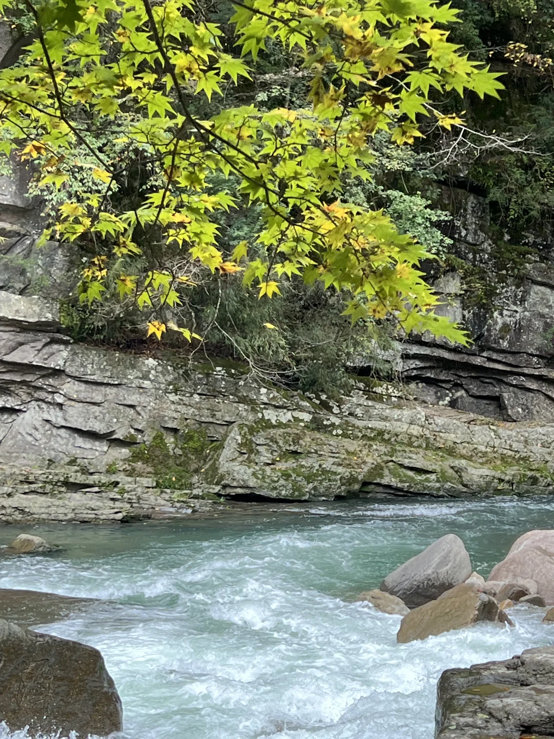 黎坪国家森林公园