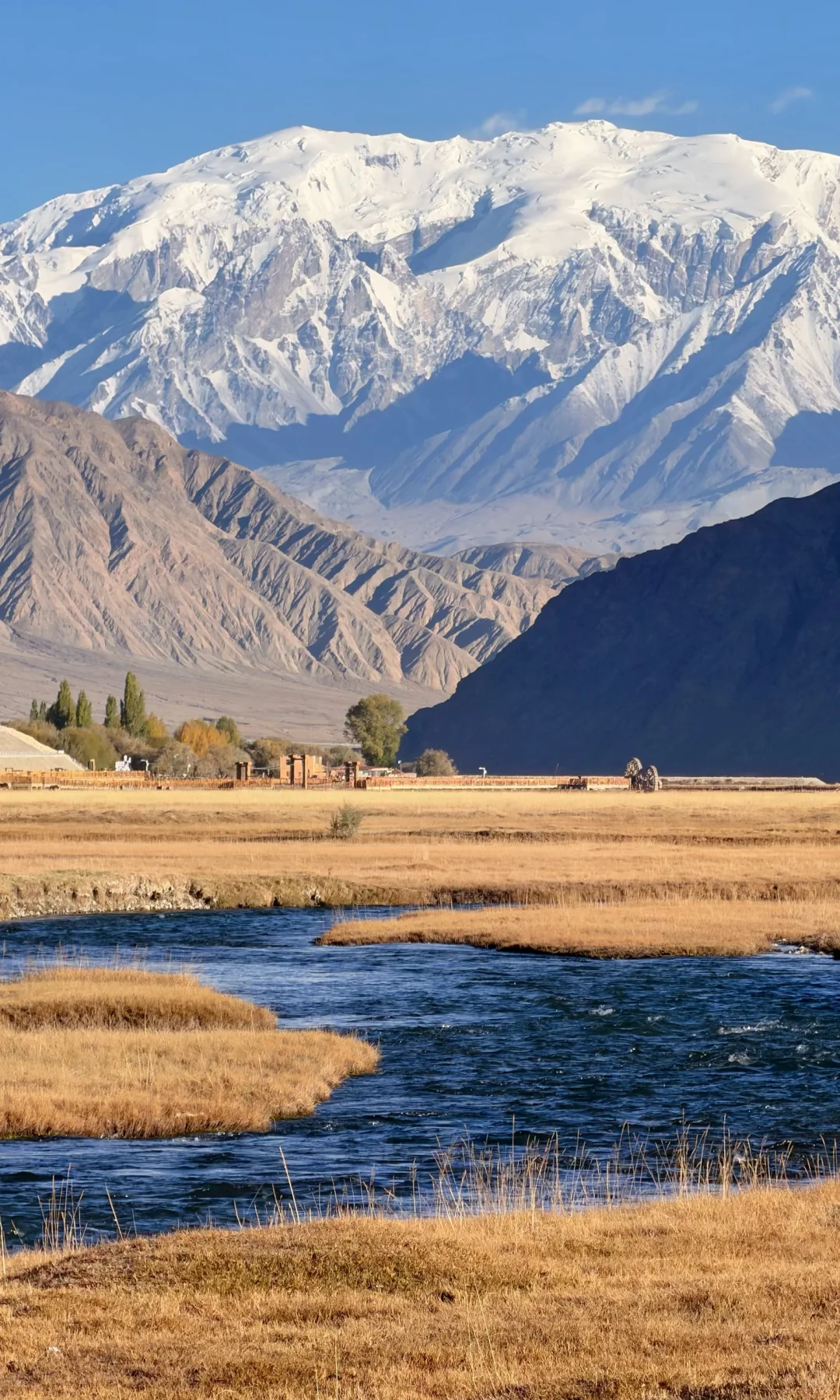 全屏live | 南疆秋天最好的地方都是免费的
