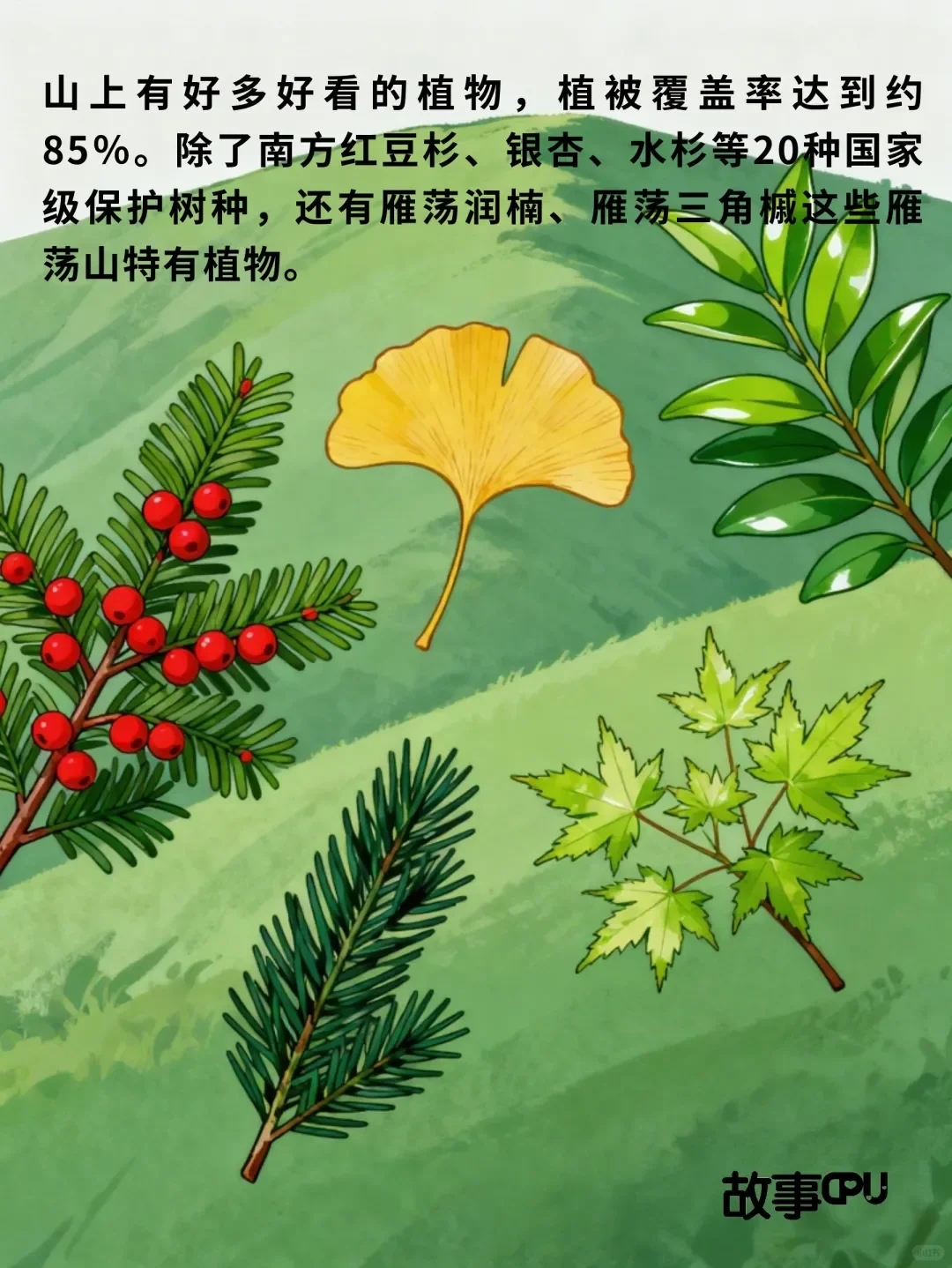 【地理启蒙】三山五岳 之 雁荡山