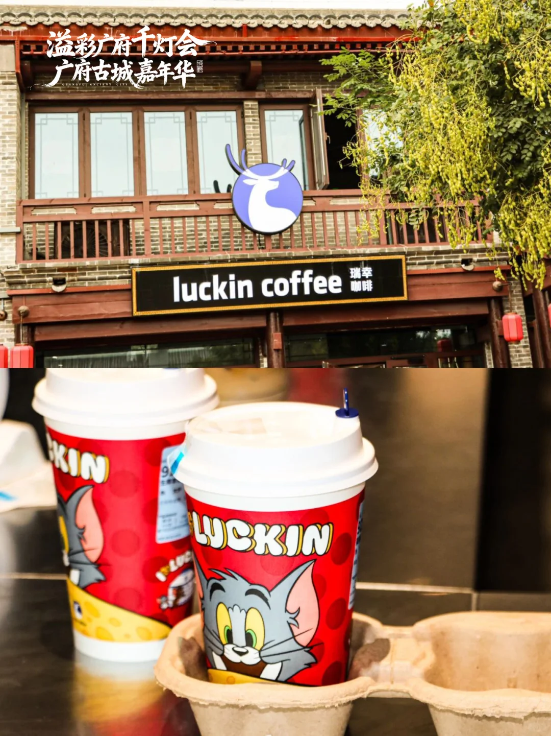 广府古城凭什么火出圈？