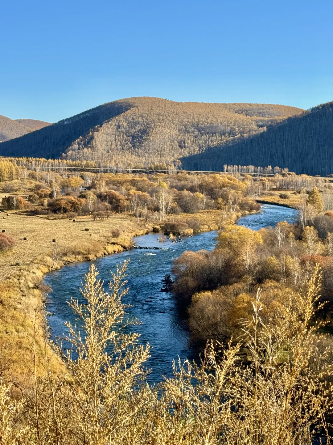 📍阿尔山！18张神级人生live！🥺太美了……