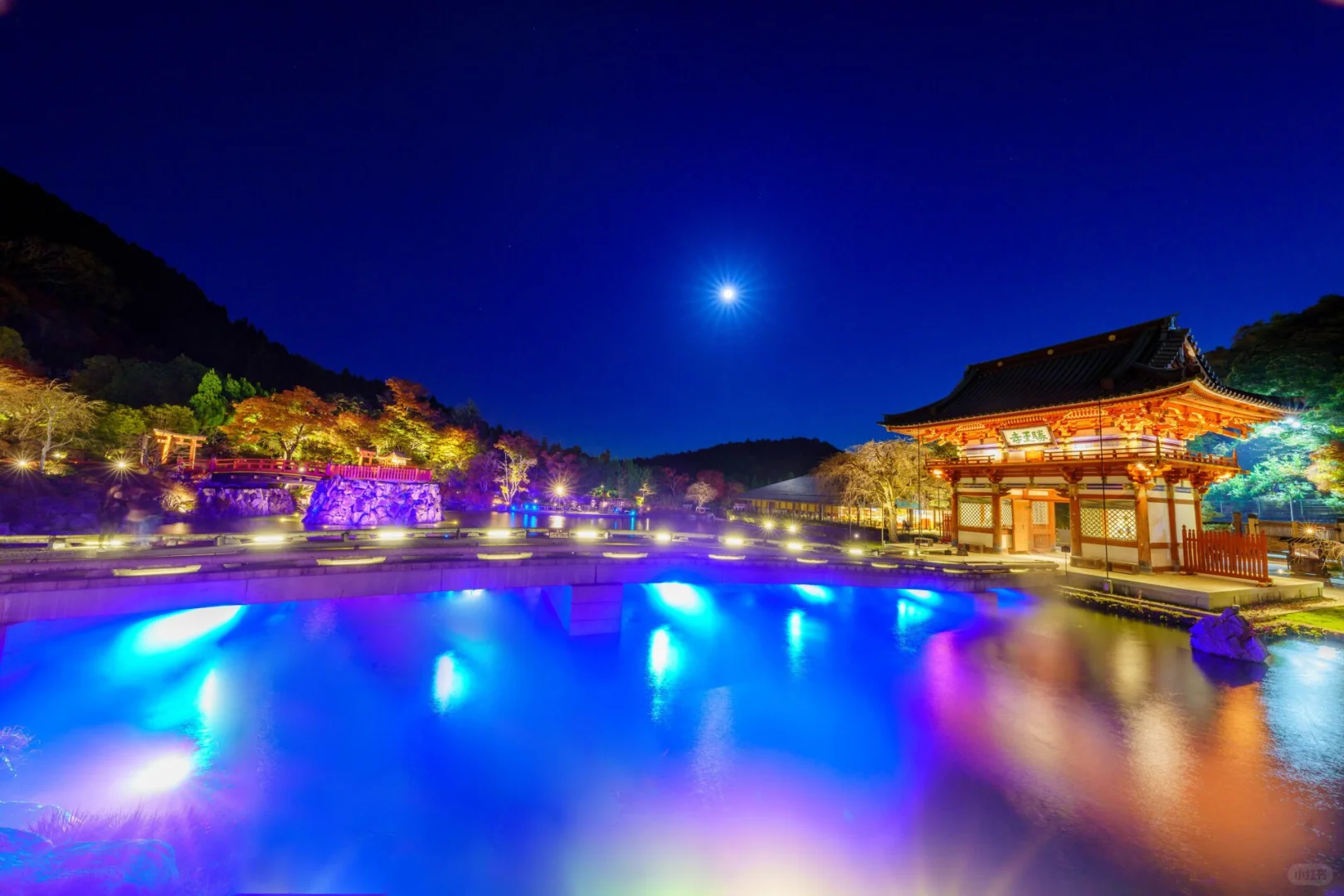 【大阪红叶秘境🍁】一起去勝尾寺夜访红叶