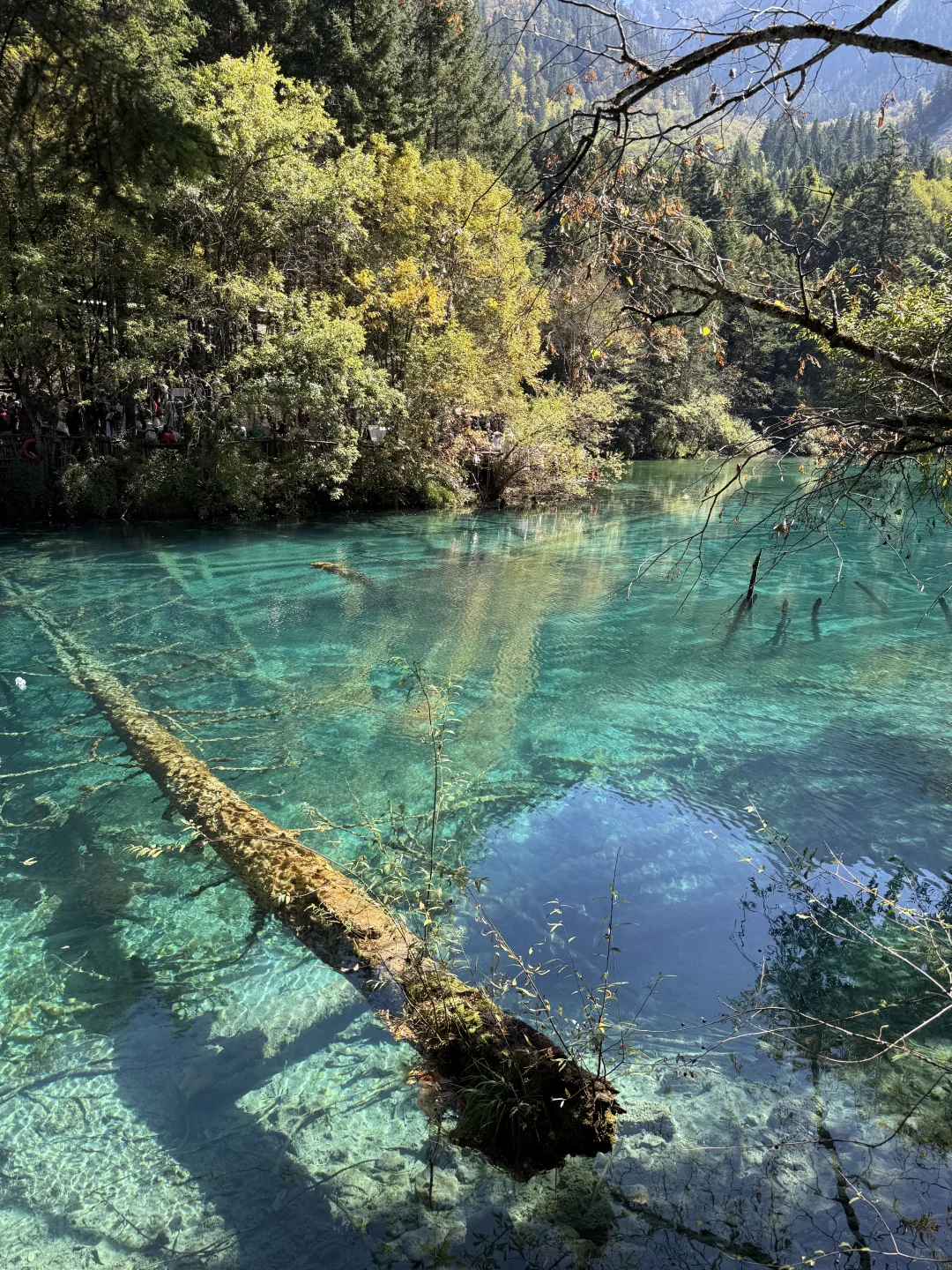 九寨沟我承认之前对你太大声