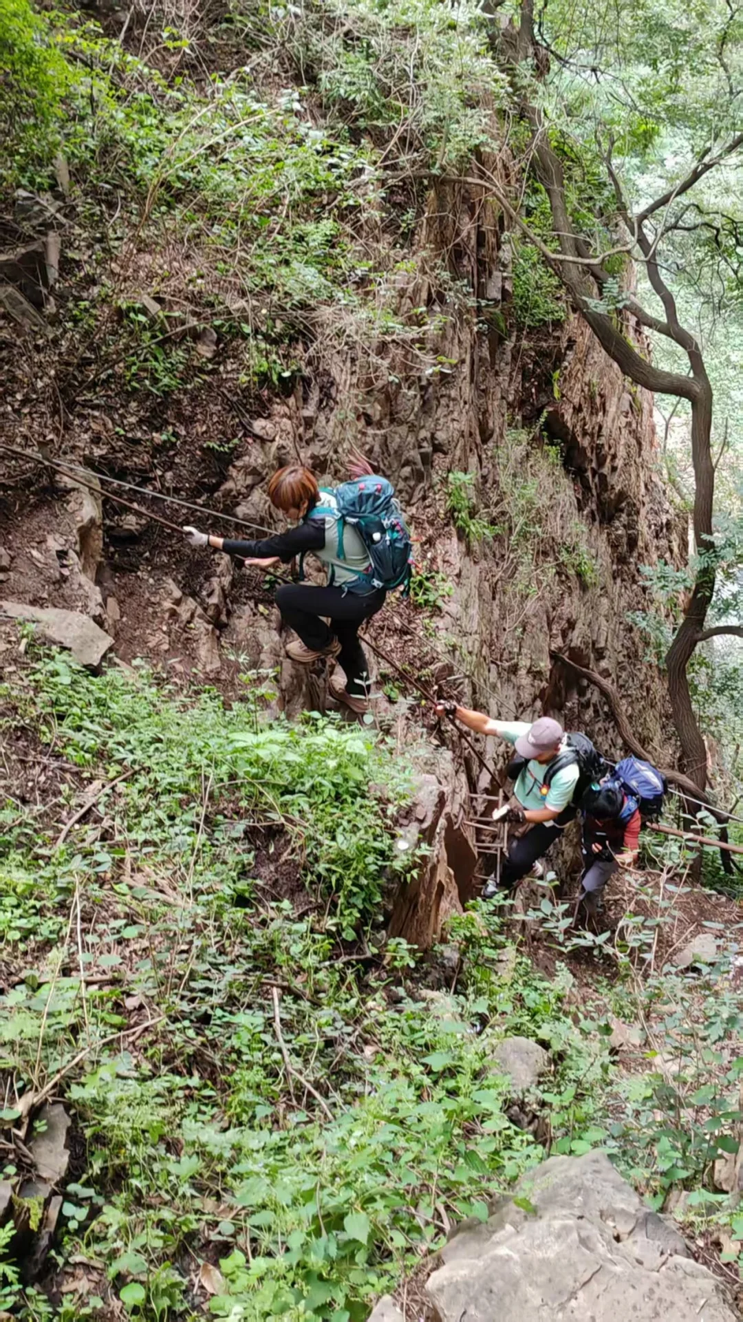 林州天一山，目前免费距离邯郸一个半小时