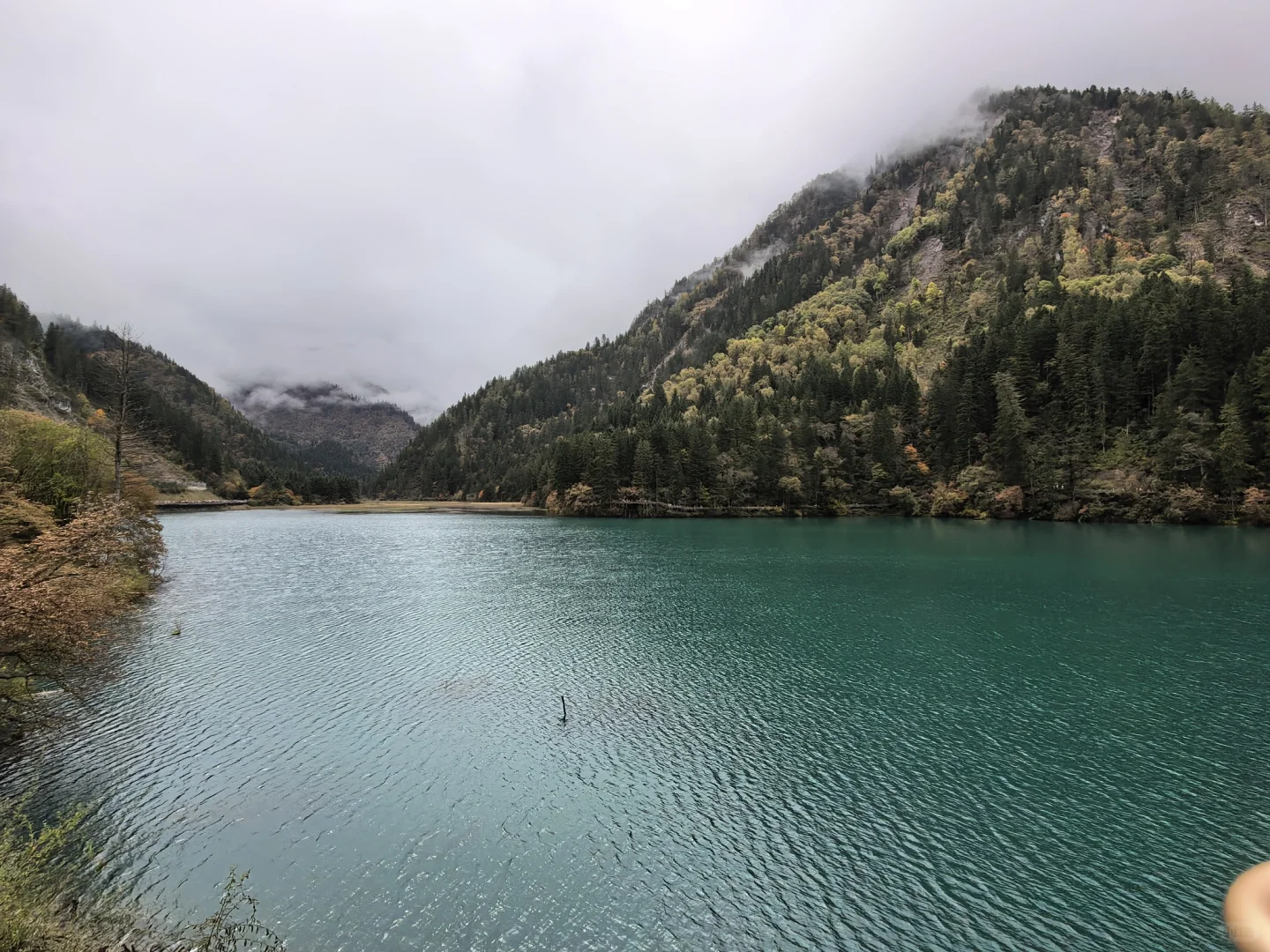 不用匆匆忙忙早起赶九寨沟！