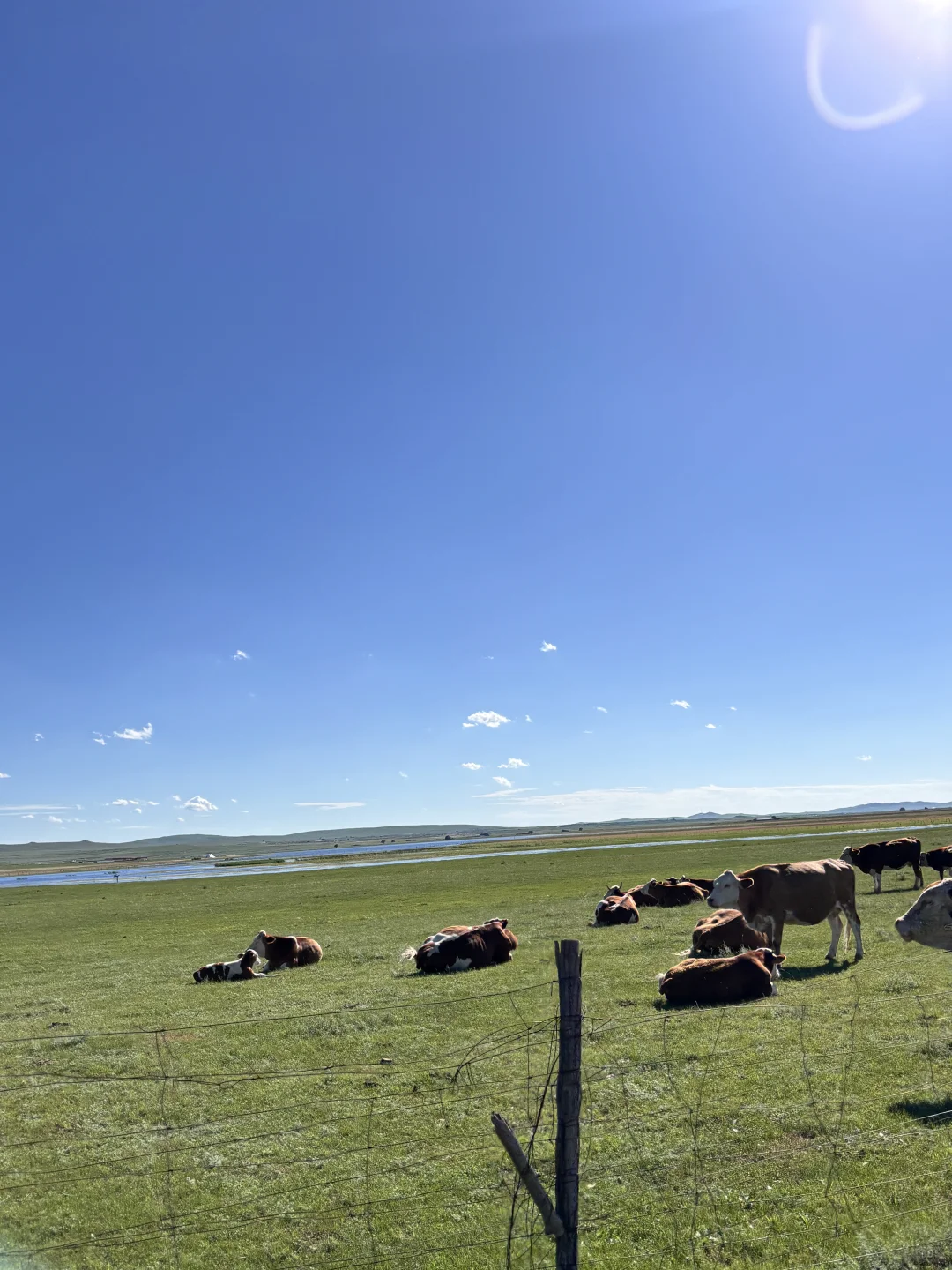 我不再内耗了 我在内蒙了