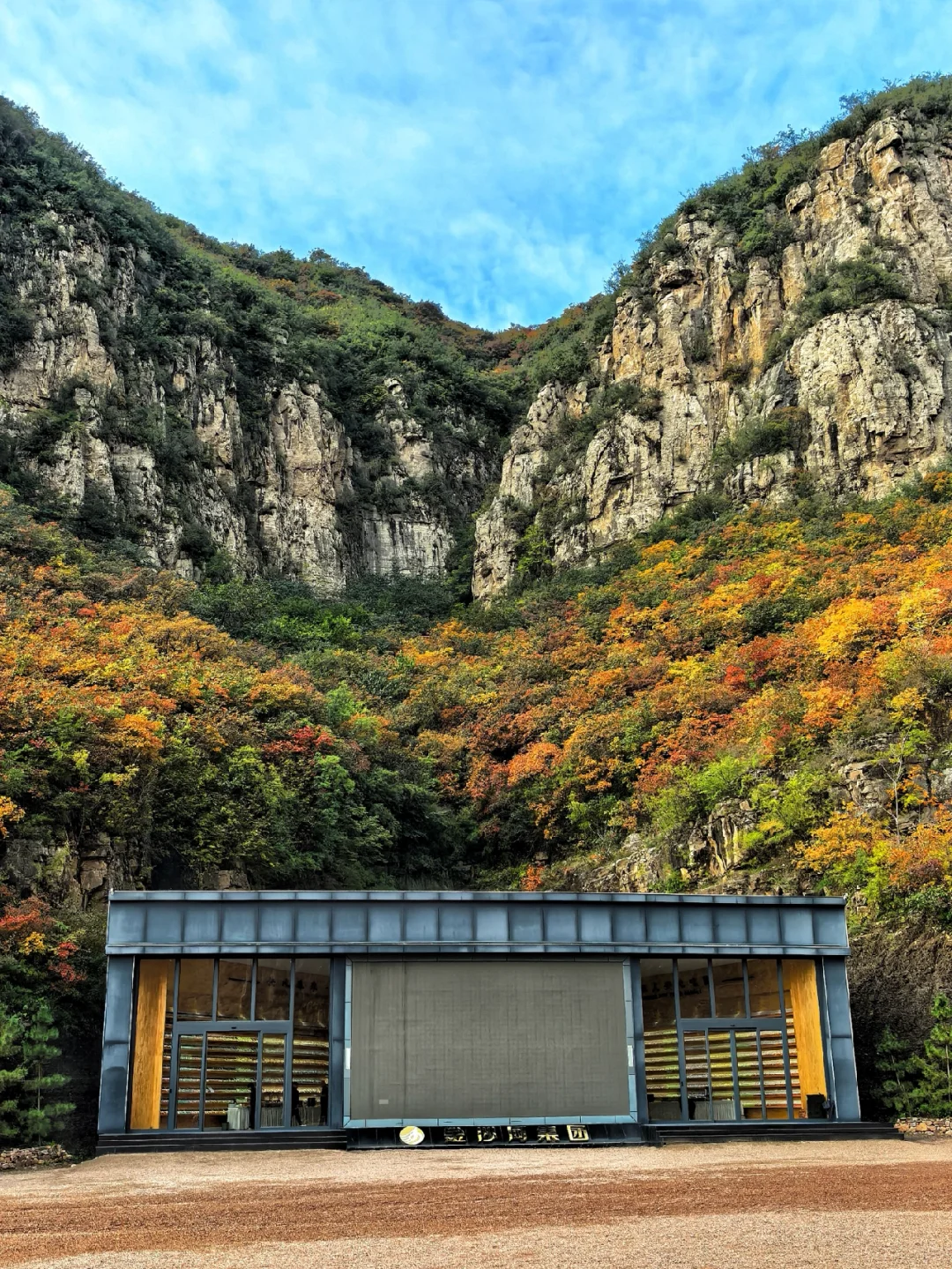 邯郸周边游：佛照山赏绝美红叶