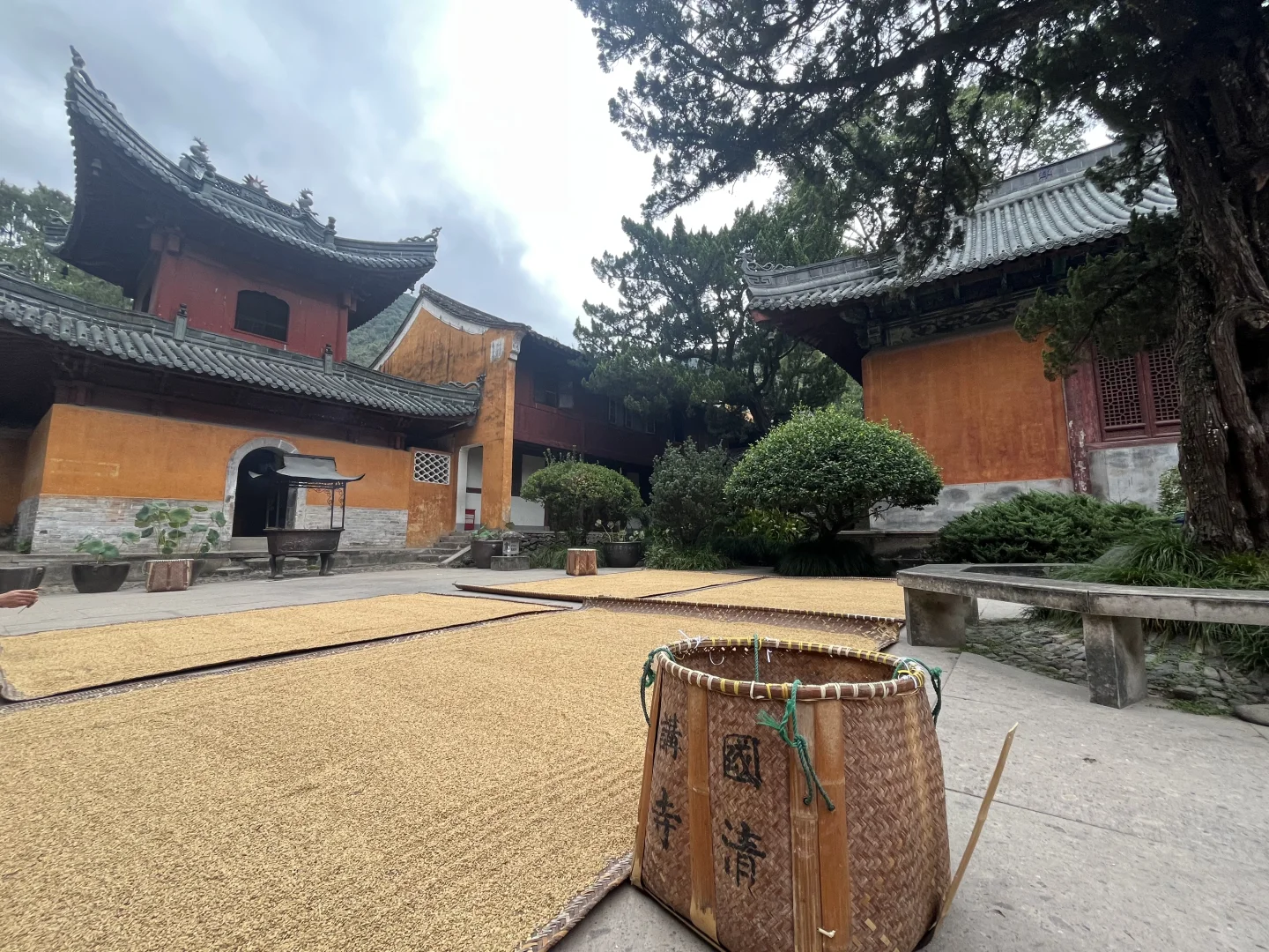 神仙居、临海台州府城、天台山国清寺攻略