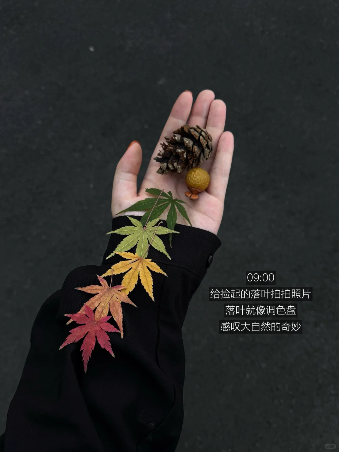 i人7:00起床杭州旅游🛶高能量的16h(12件事