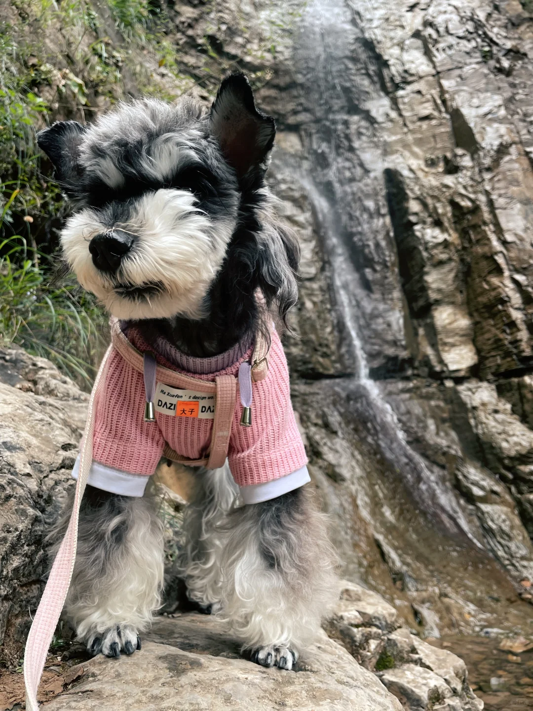 石家庄及周边宠物友好景区(新增柳仙谷)