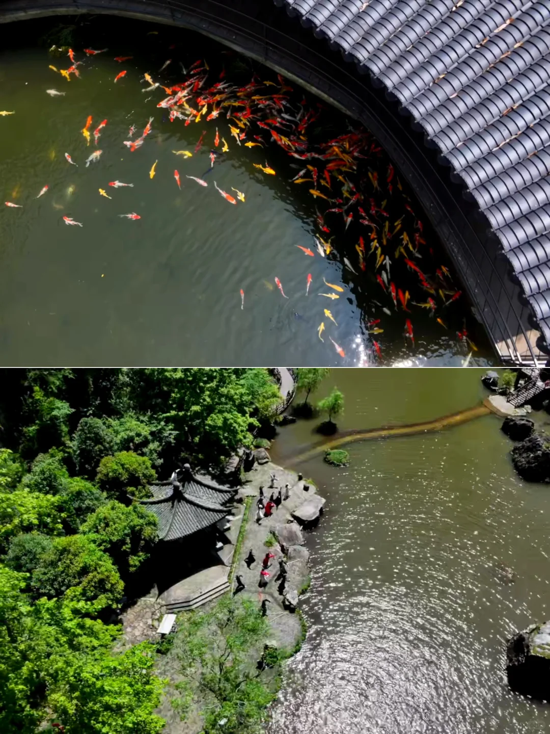 温州文旅这么宠么，凭机票免费玩80家景区？