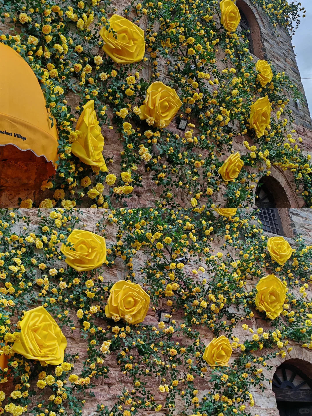 没错，这里确实是邢台，门票只需19.9