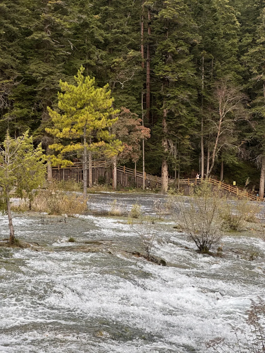 九寨沟避堵路线,把旺季当成淡季玩⛰️